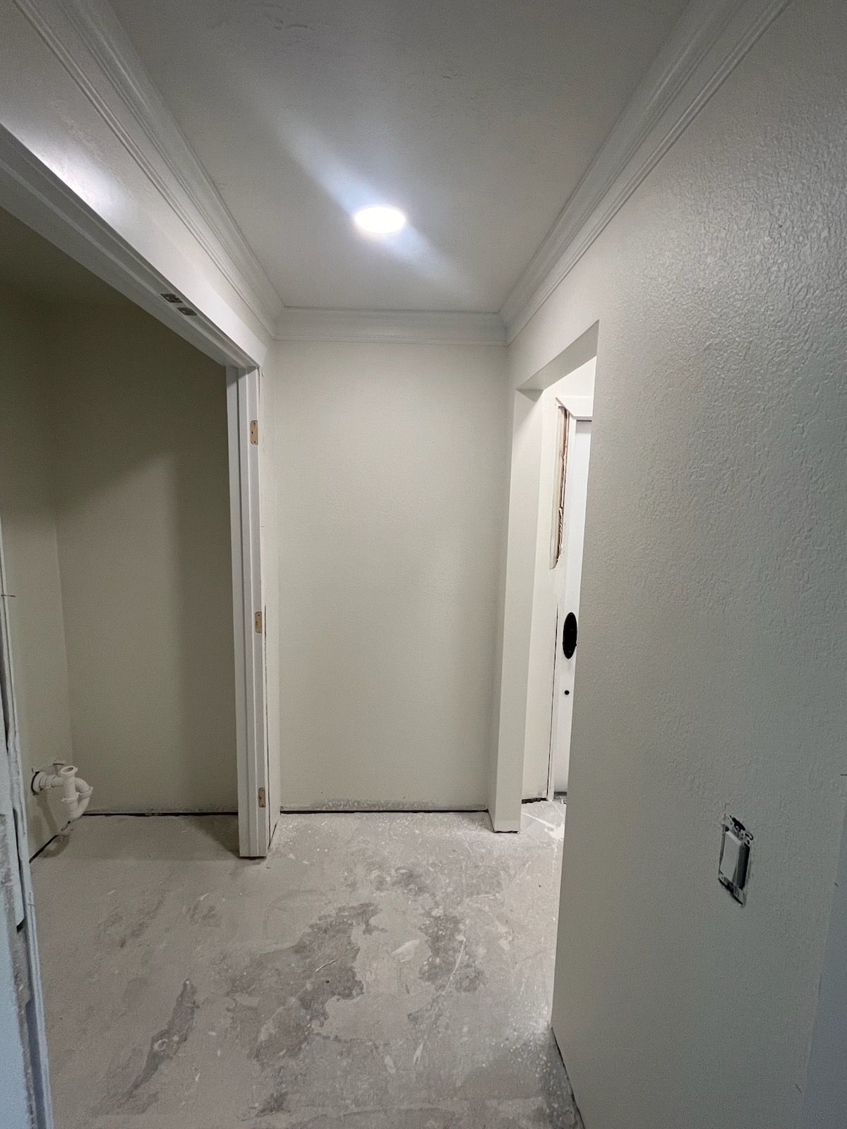  for Escorpio Painting in Tampa, FL