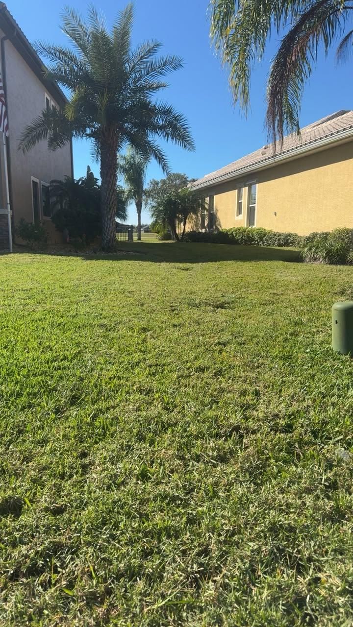  for Space Coast Property Maintenance and Management LLC in Brevard County, FL