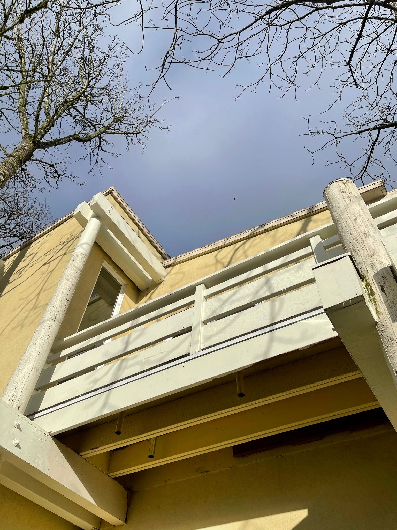  for Tony's Remodeling & Painting in Renton, WA