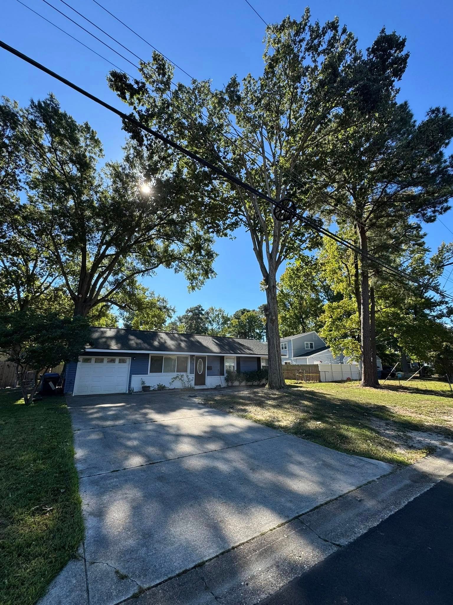 Tree Removal for Cowboys TREE Company in Chesapeake, VA