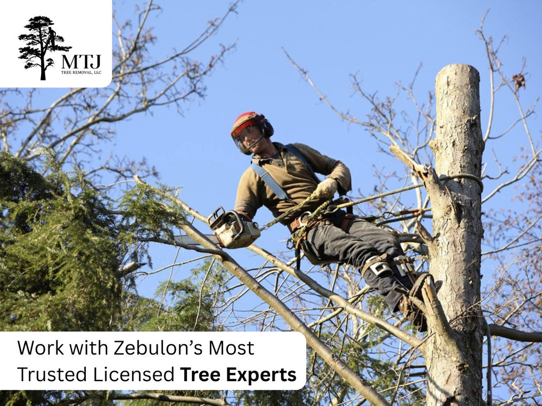All Photos for MTJ Tree Removal LLC in Zebulon, NC
