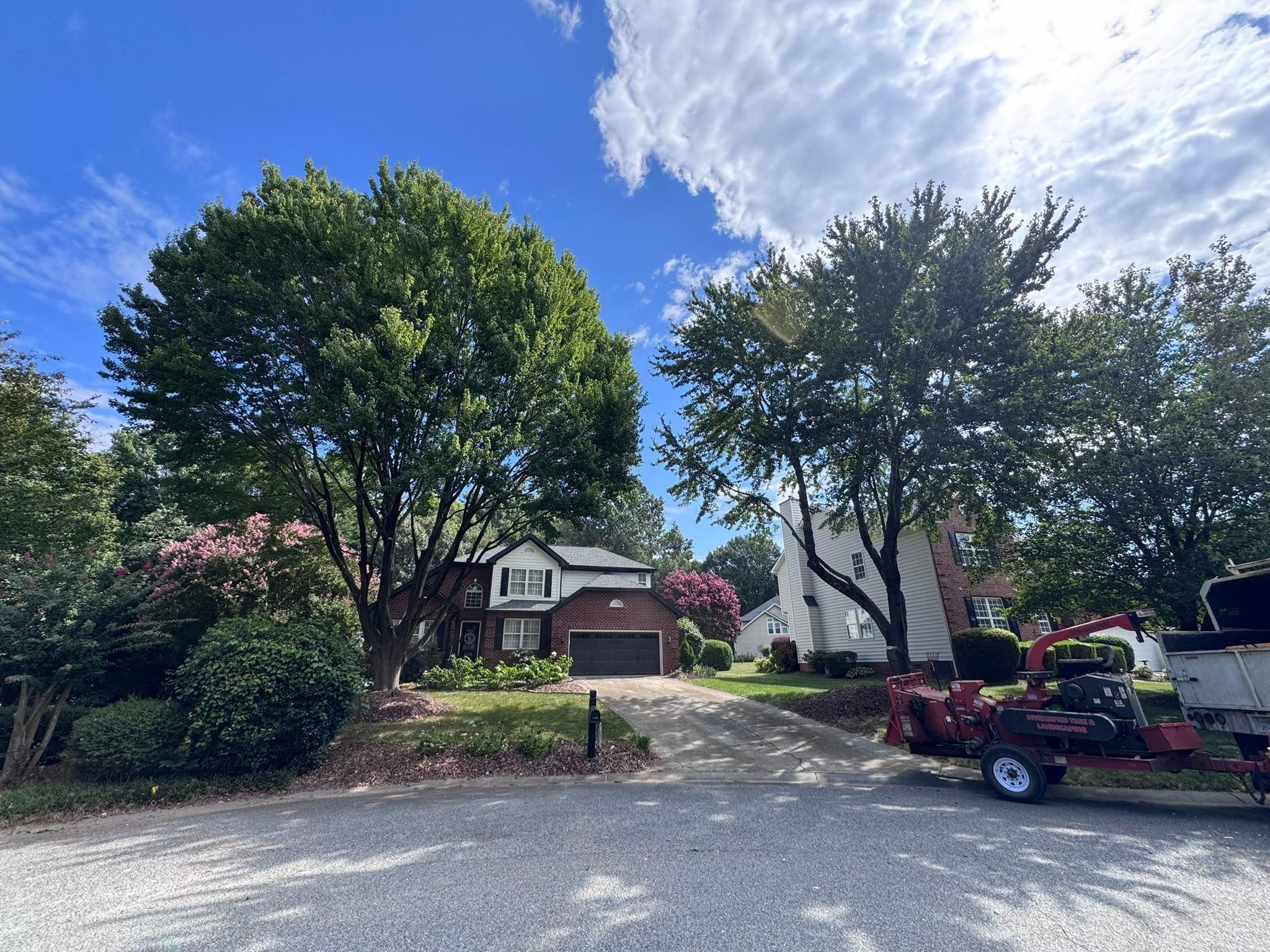  for Diversified Tree Company in Trinity, NC
