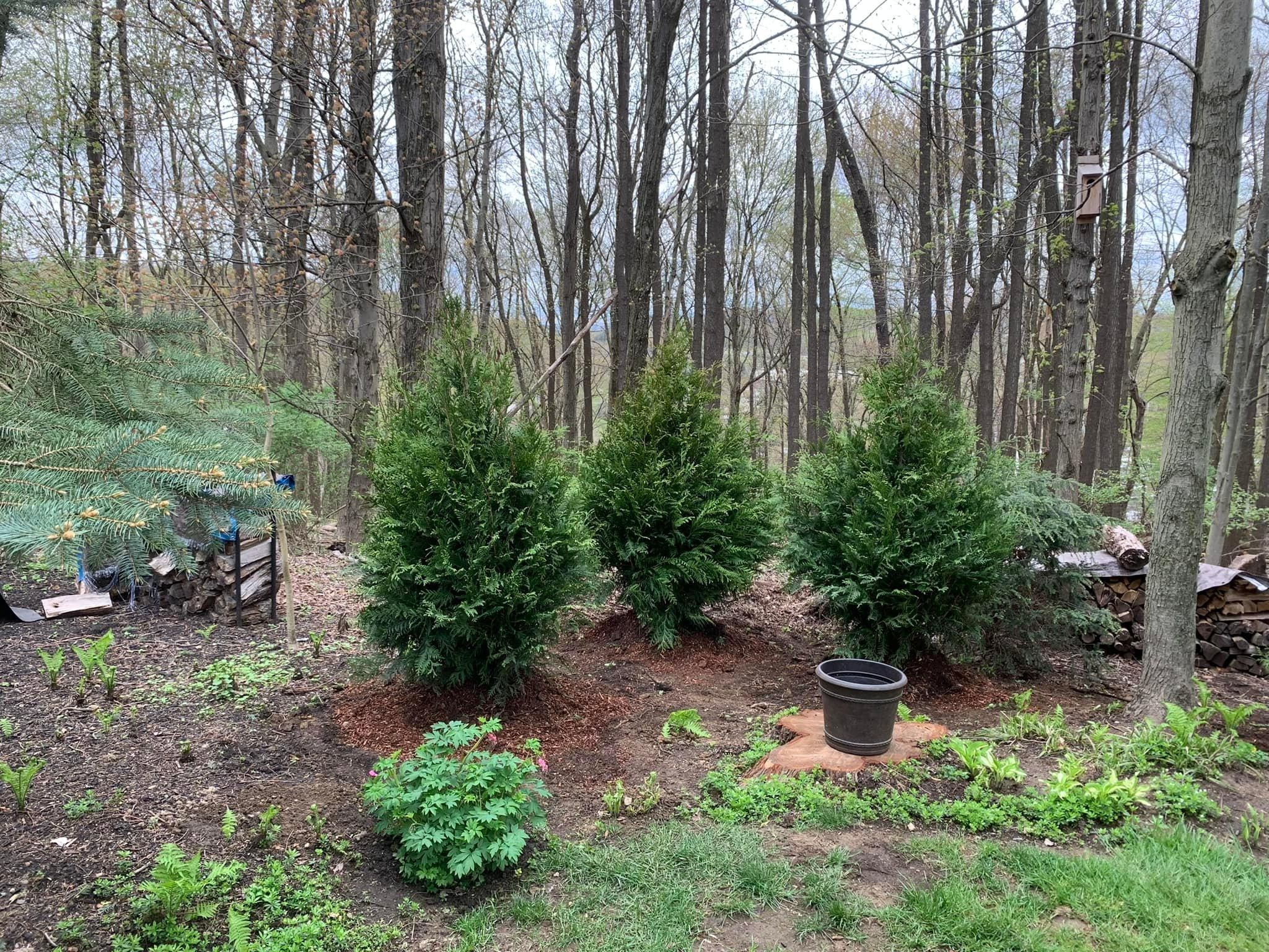  for Trueman Landscaping in Wexford, PA