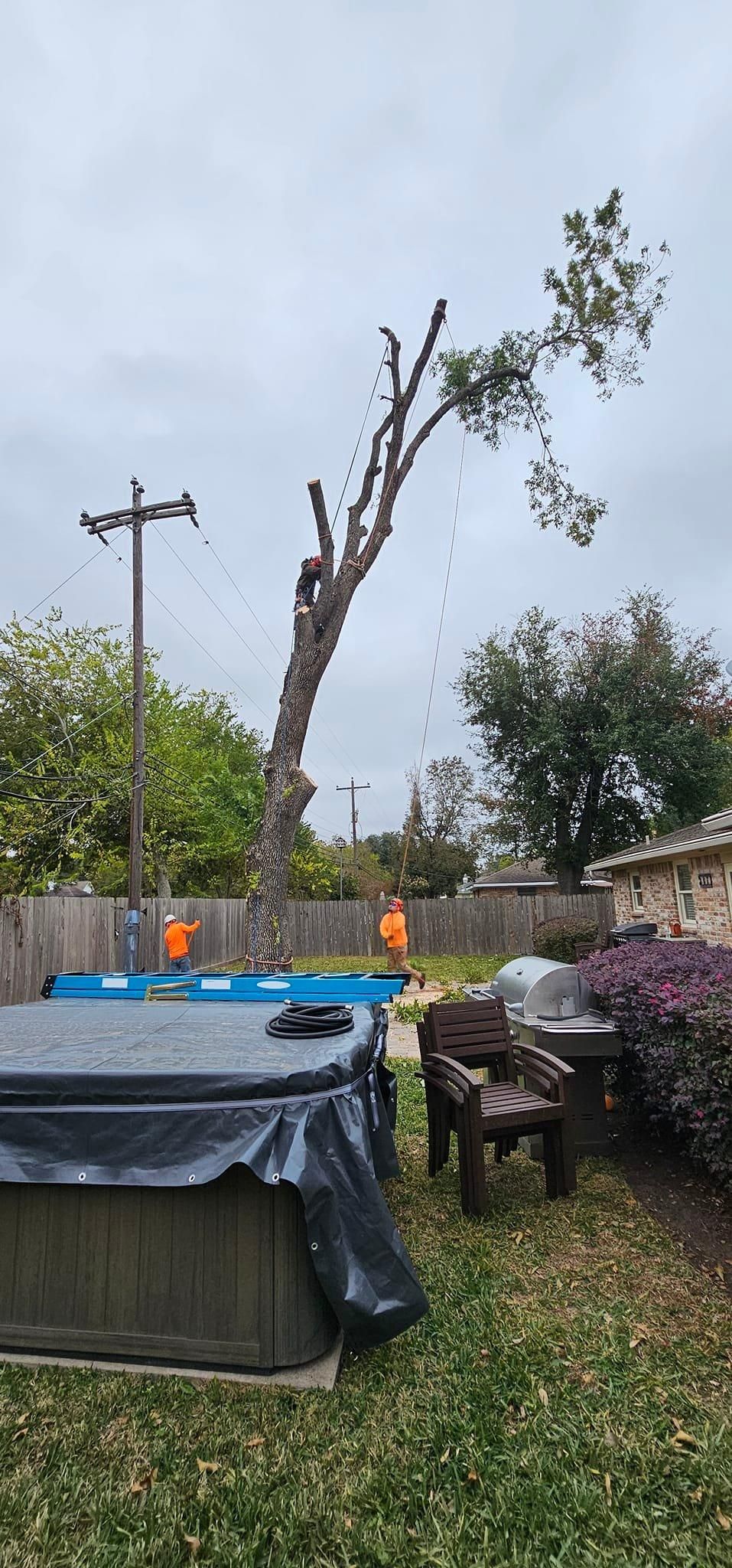  for Servin's Tree Care  in Houston, TX