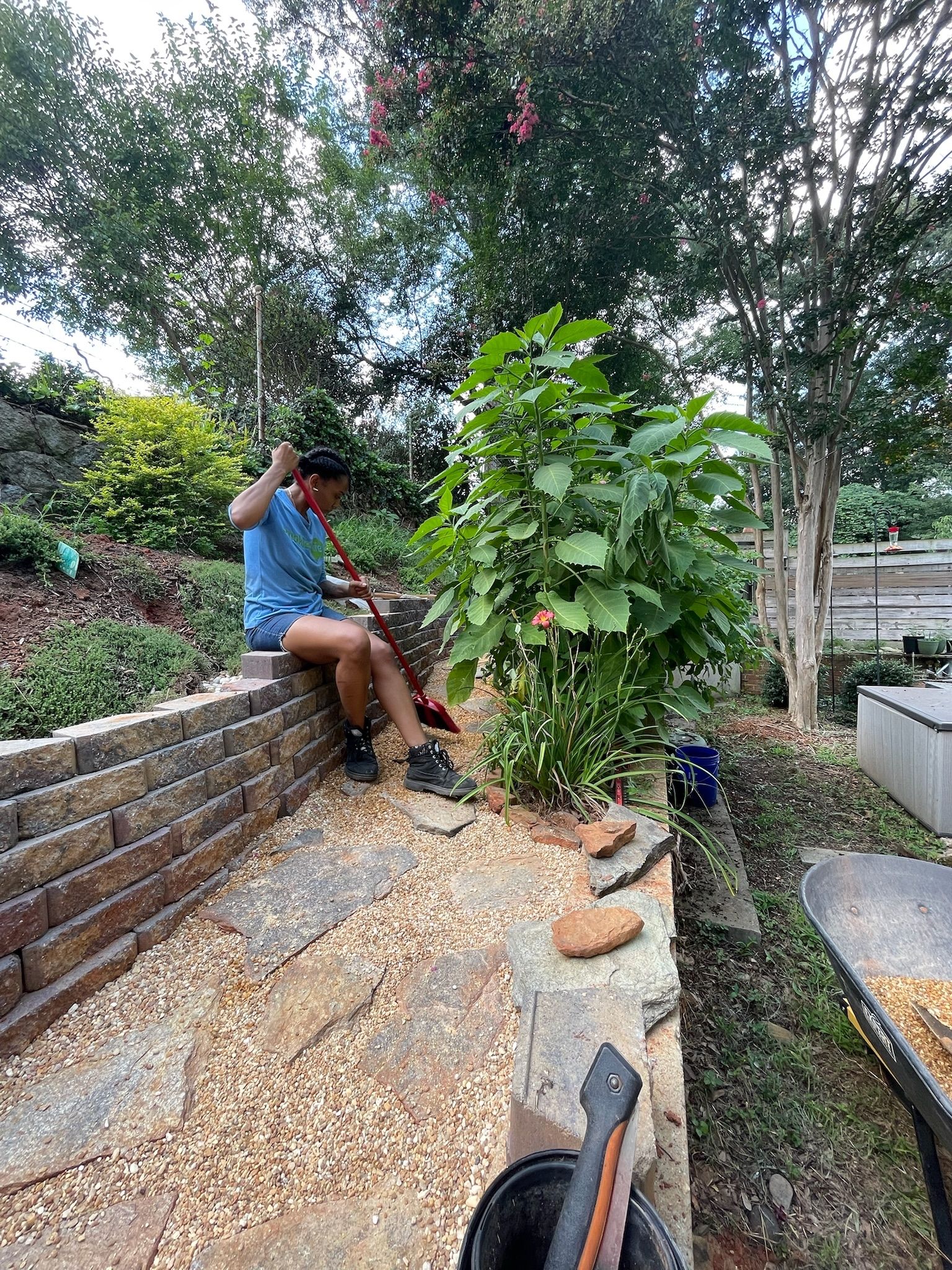  for Down To Earth Tree and Landscaping in Greenville, SC