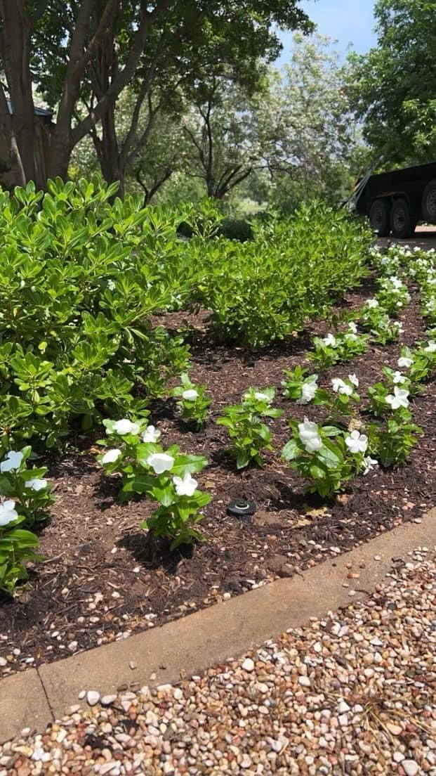 Irrigation Installation for Platinum Landscape Design LLC in San Angelo, Texas