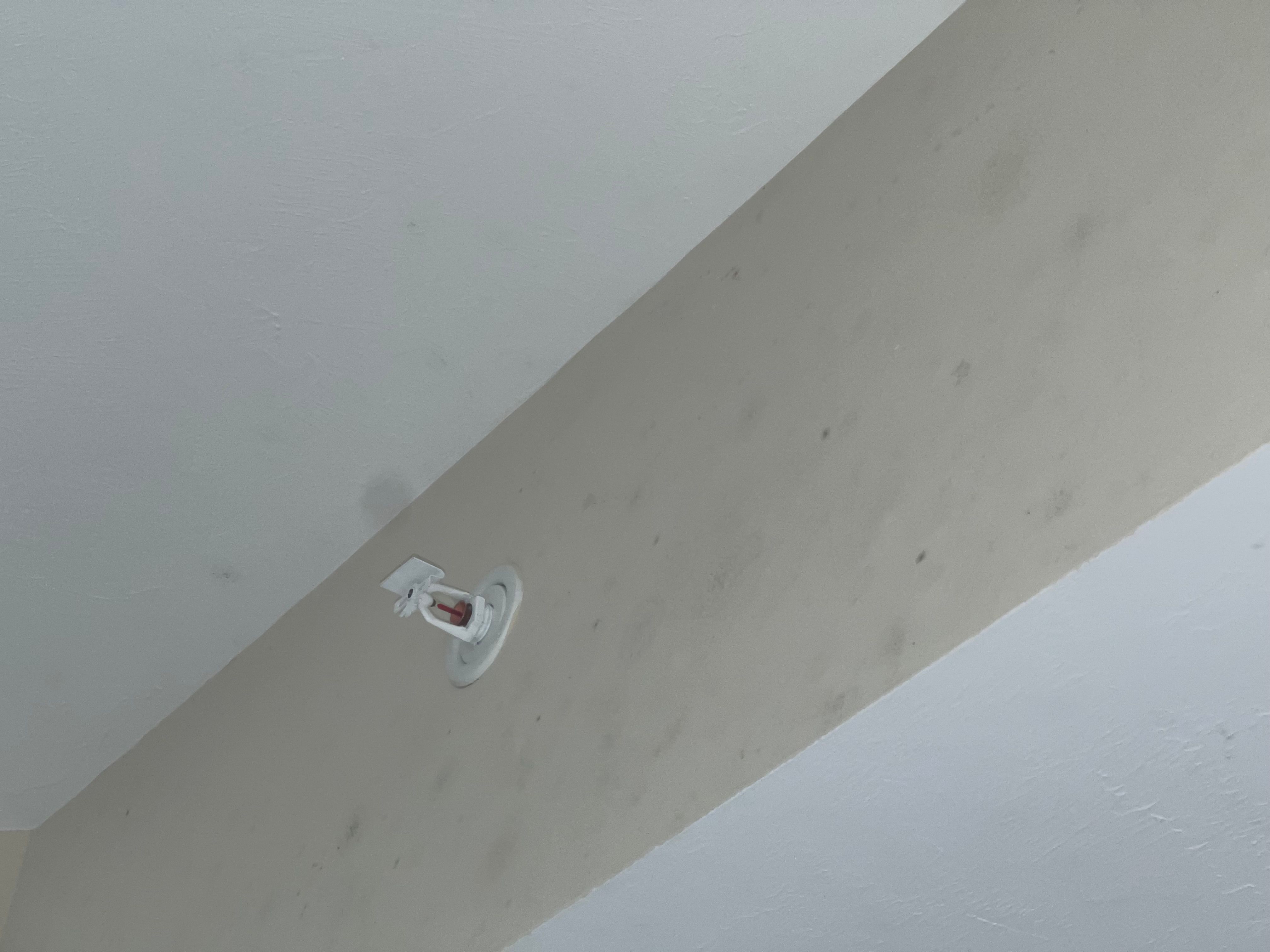  for N&D Restoration Services When Disaster Strikes, We Come In in Cape Coral,  FL