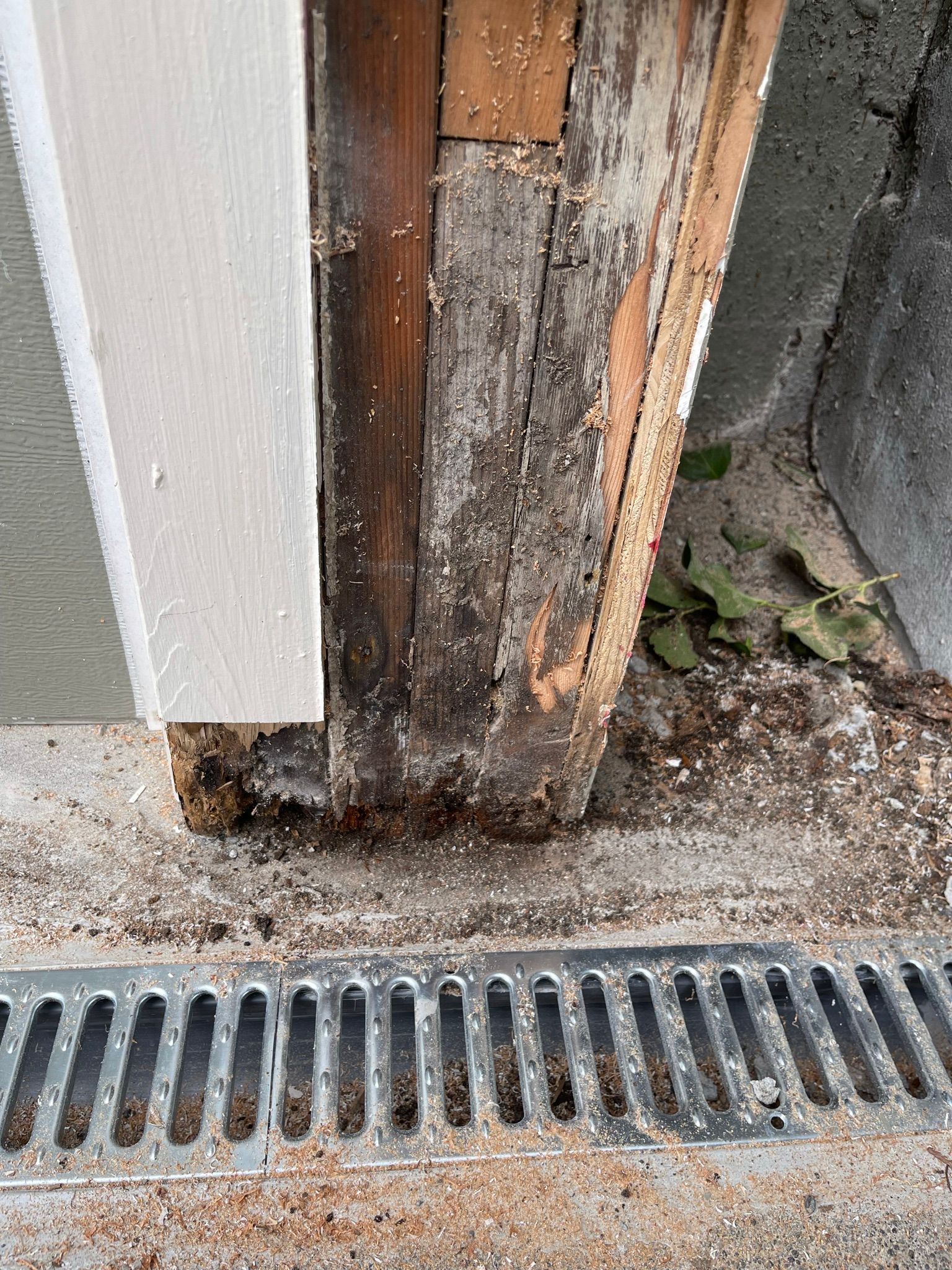  for Tony's Remodeling & Painting in Renton, WA