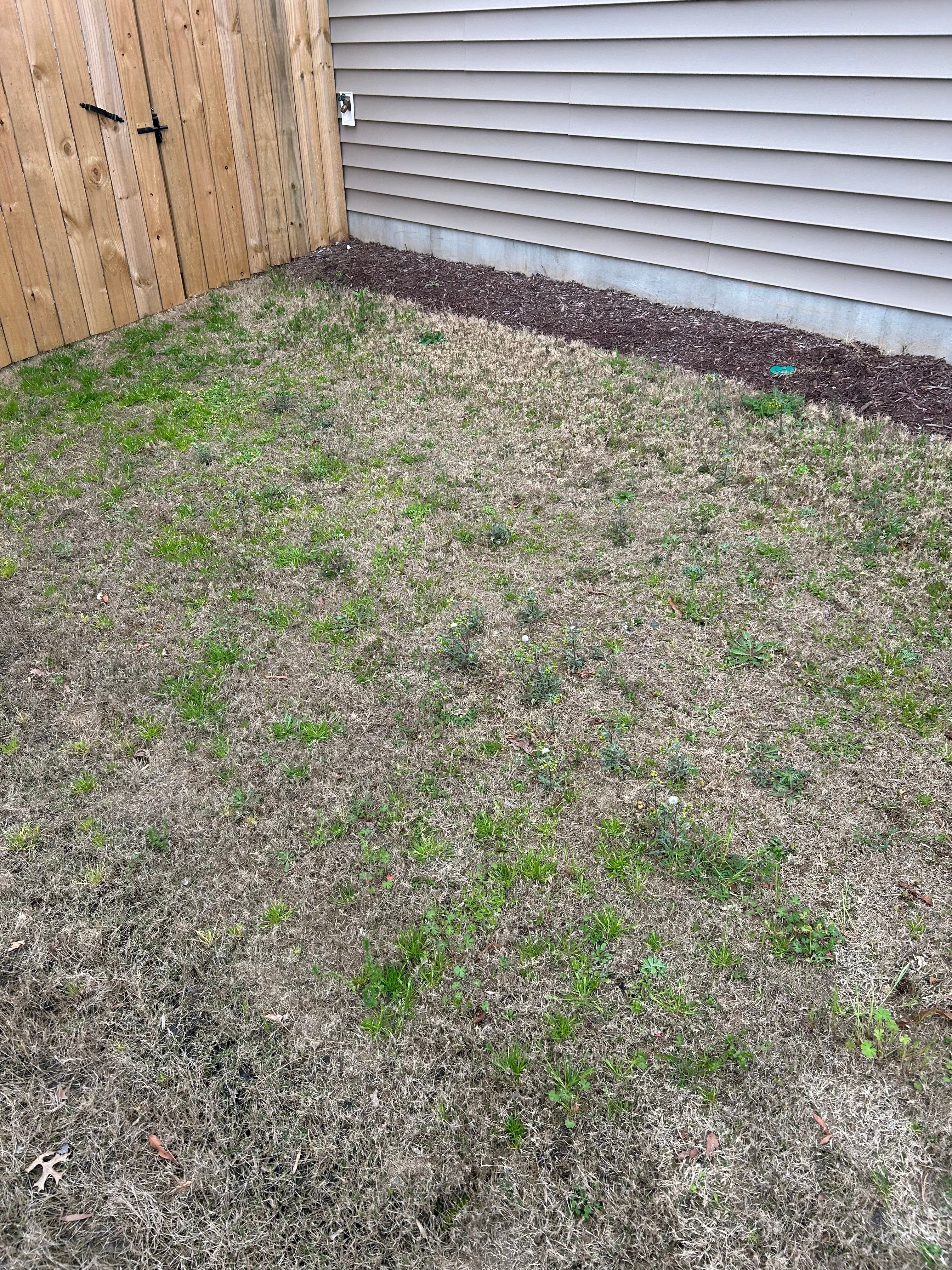  for Everett Lawn Care in Raleigh, NC