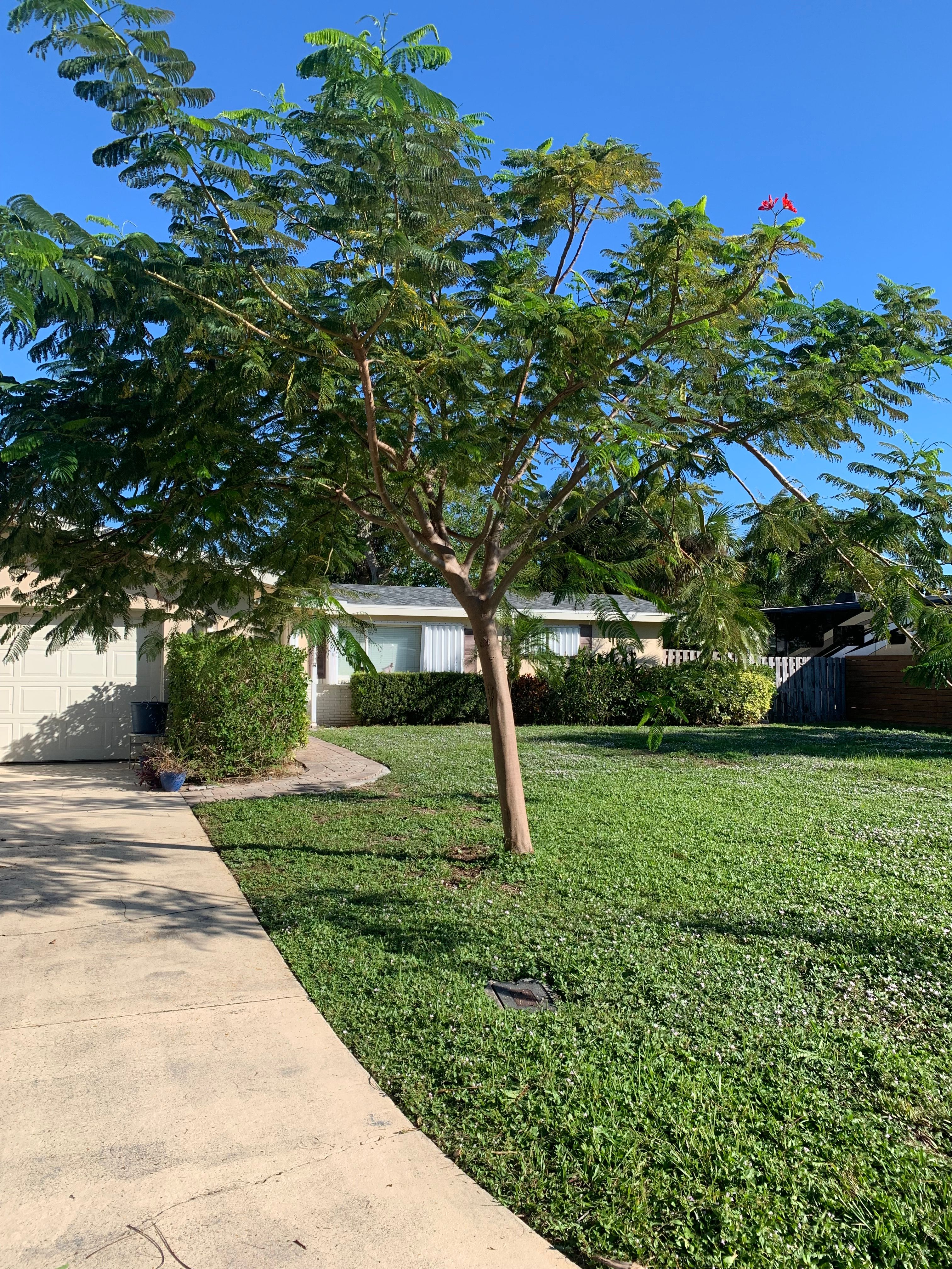  for Space Coast Property Maintenance and Management LLC in Melbourne, FL