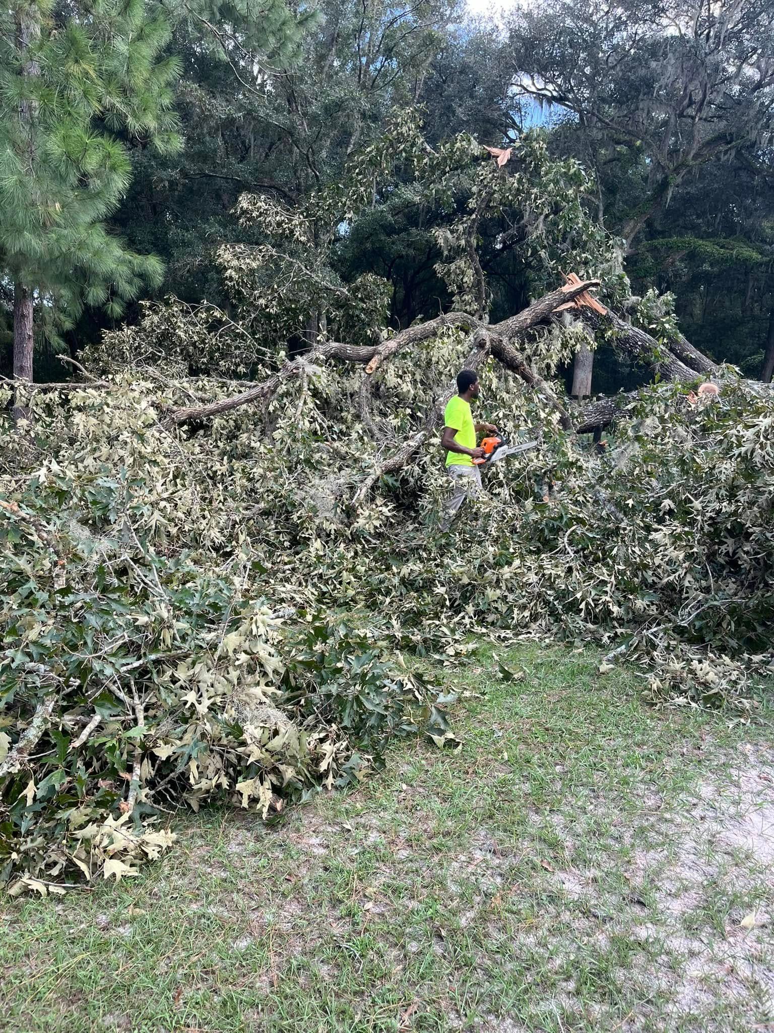  for All Around Guys LLC in Ocala, FL