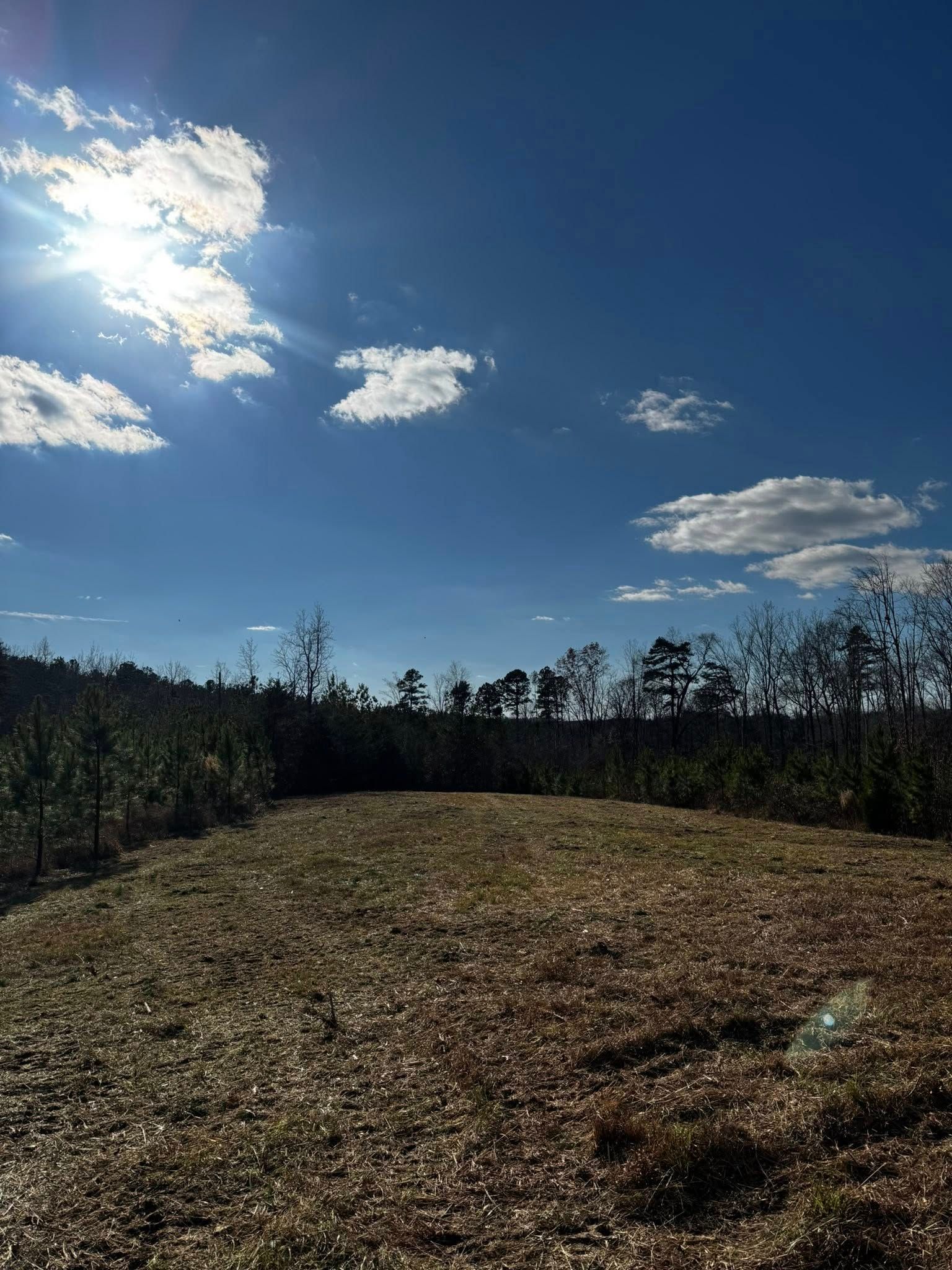 All Photos for Hunt’s Hauling & Landworks LLC in Danville, VA