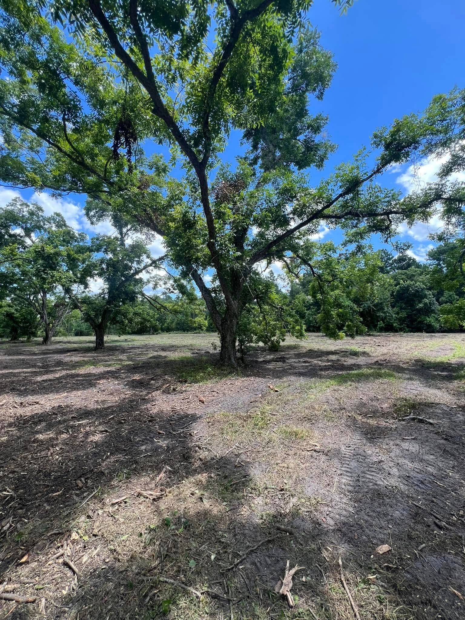  for Bay Hill Development LLC in Savannah, Georgia