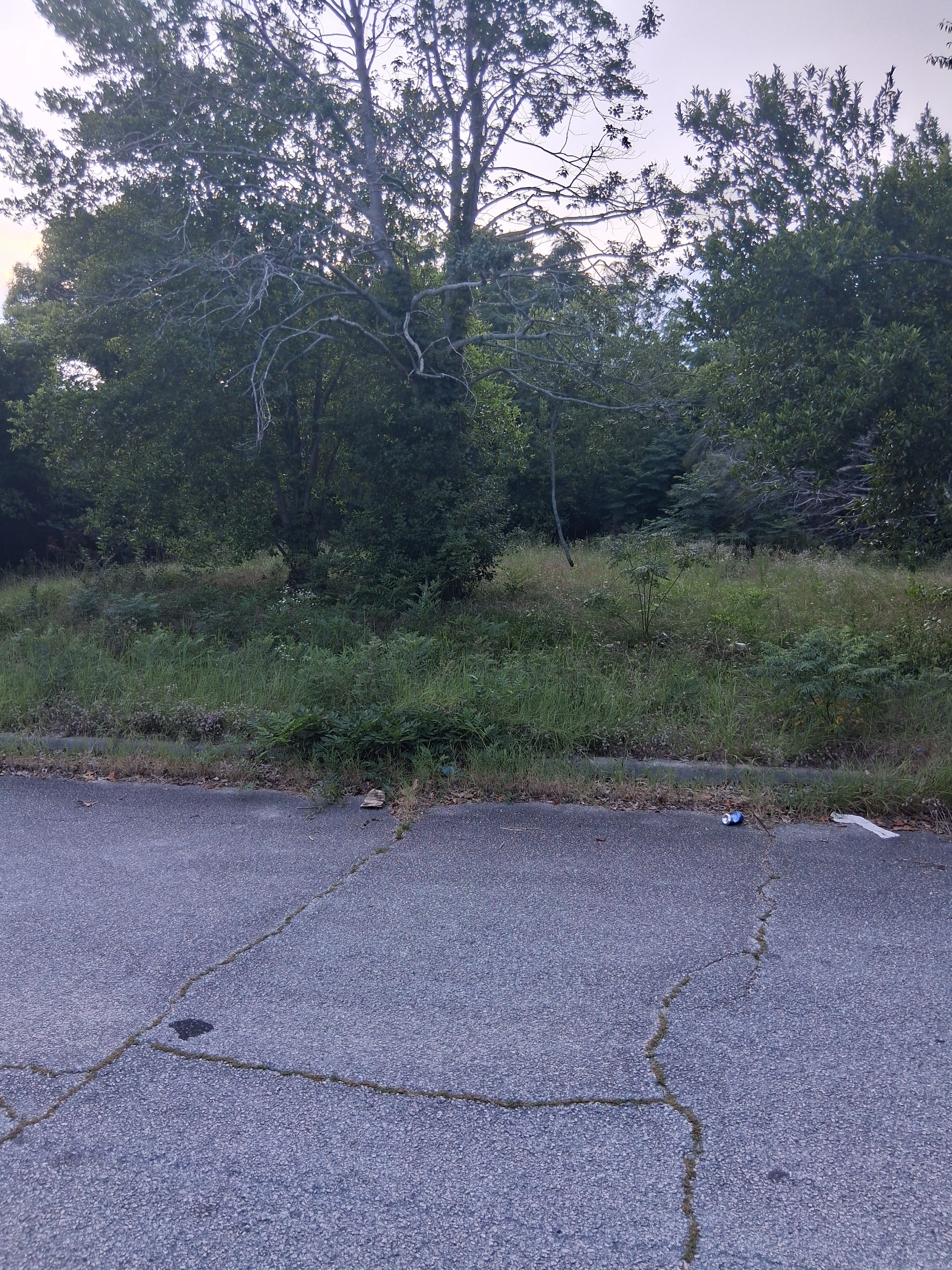  for Evan's Property Investments and More in Hephzibah, GA