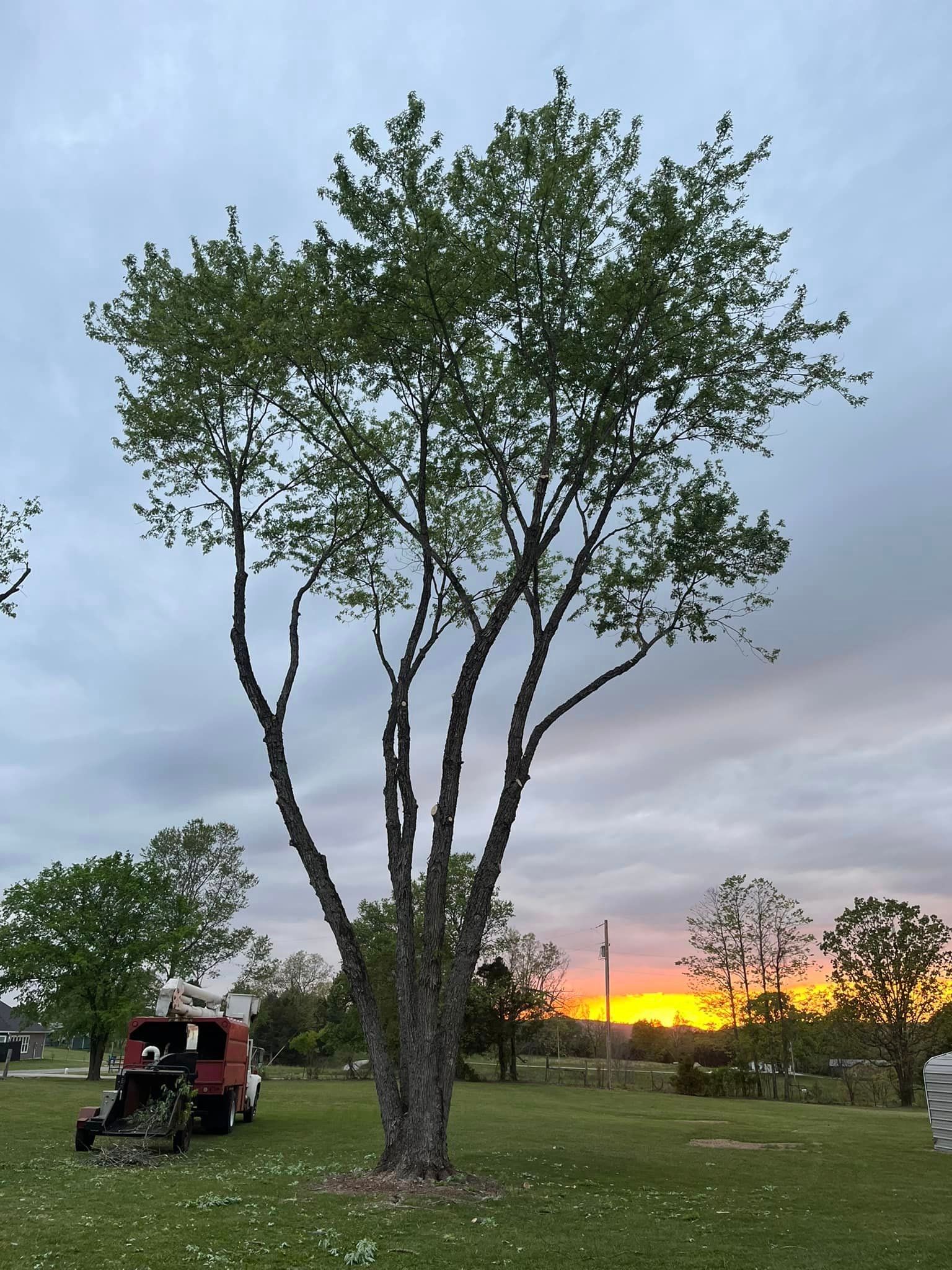  for H n H Tree Service in Taneyville, MO