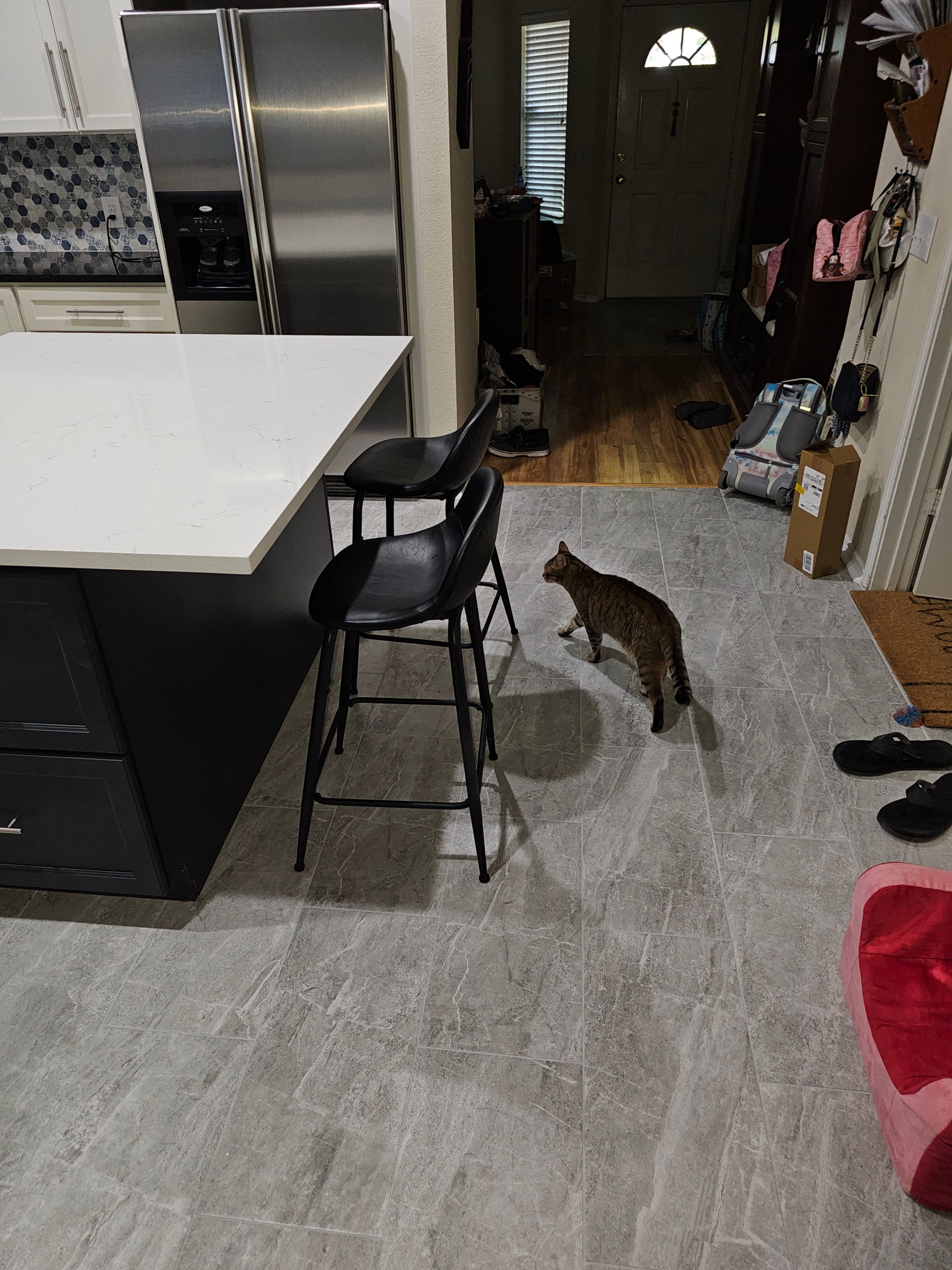  for Spencer Renovations Inc. in Selma, TX