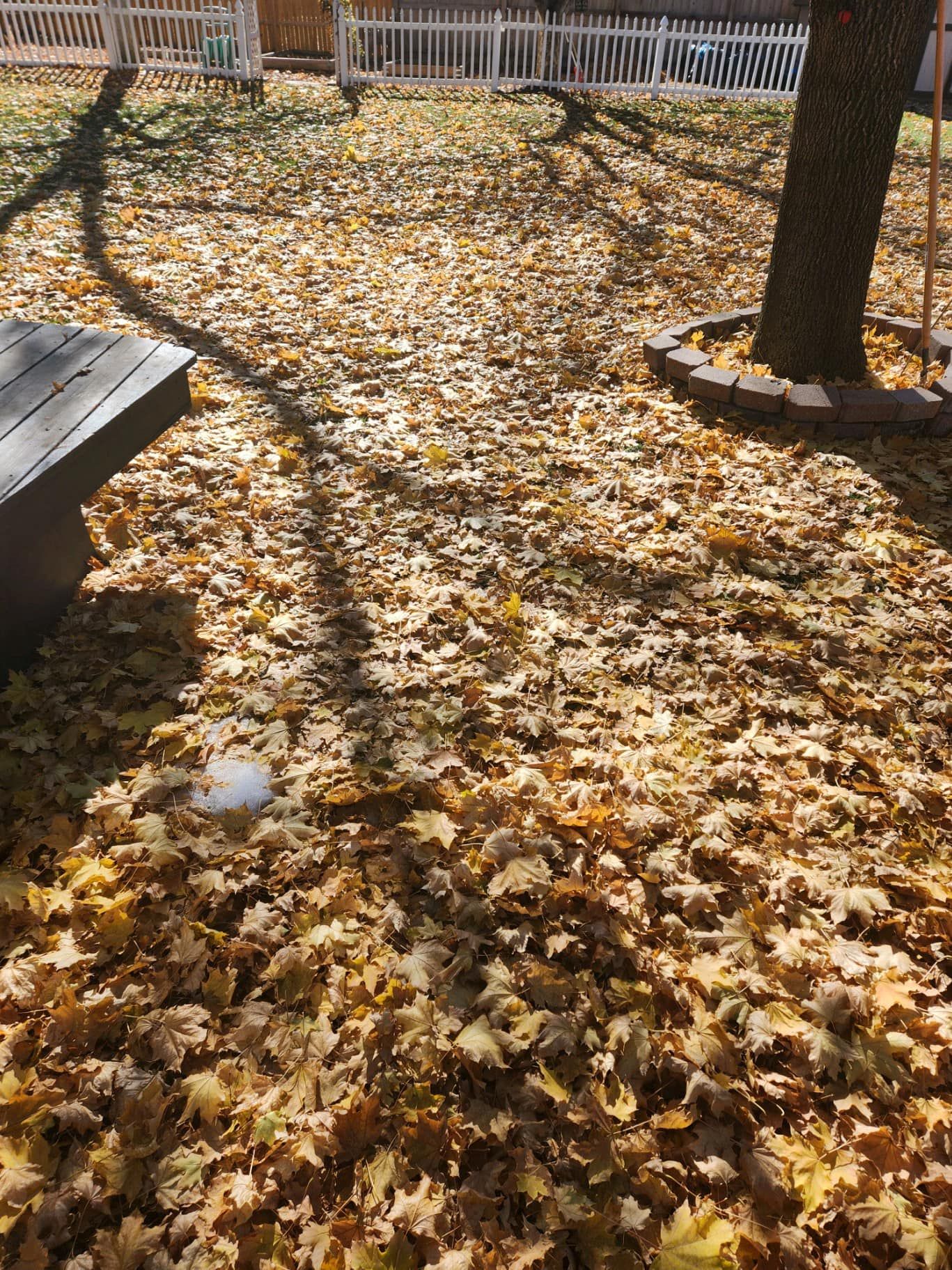 All Photos for Manscaped Lawn Care in Firestone, CO