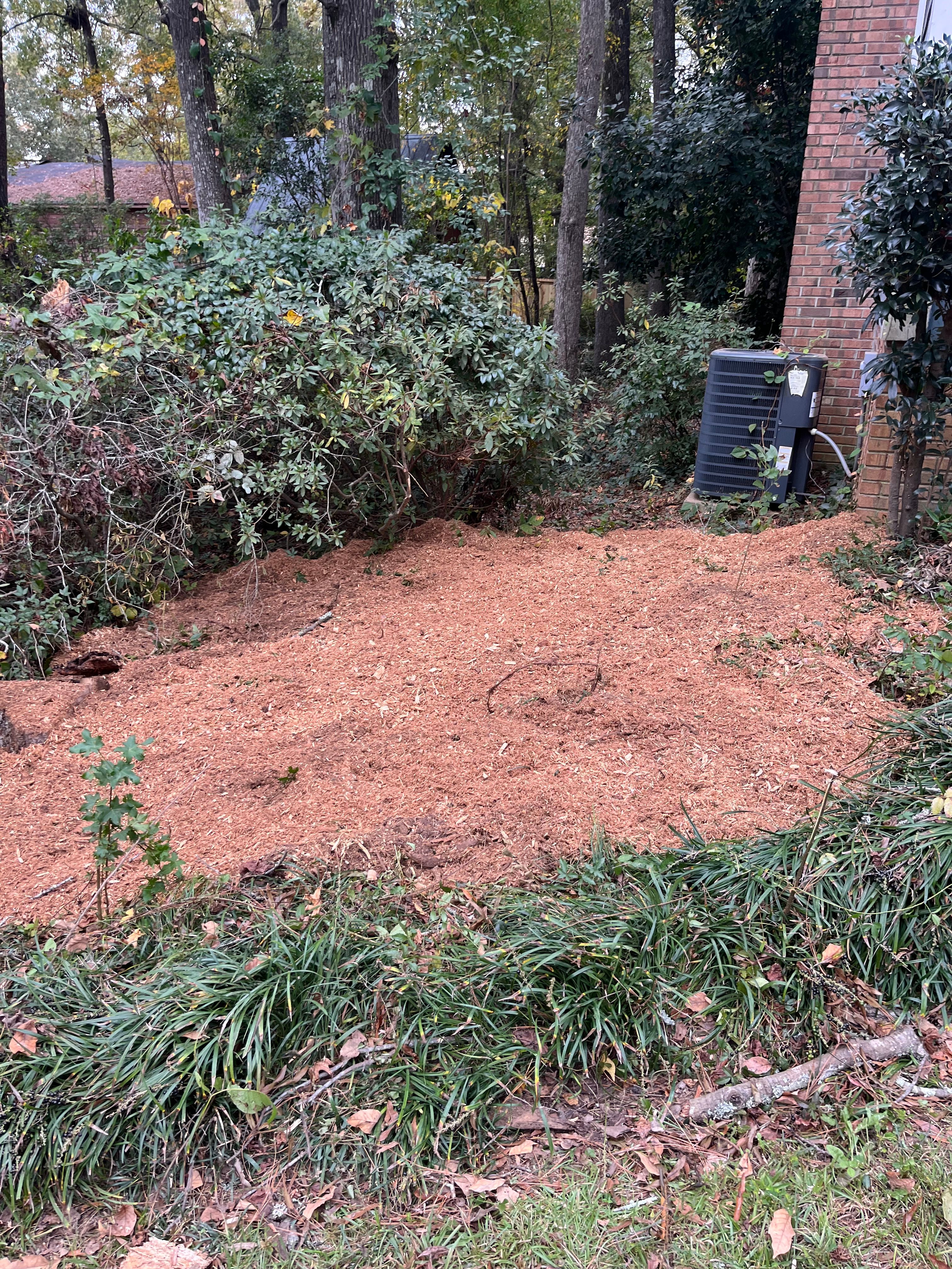 All Photos for Otis Lee Stump Grinding LLC in Elgin, SC