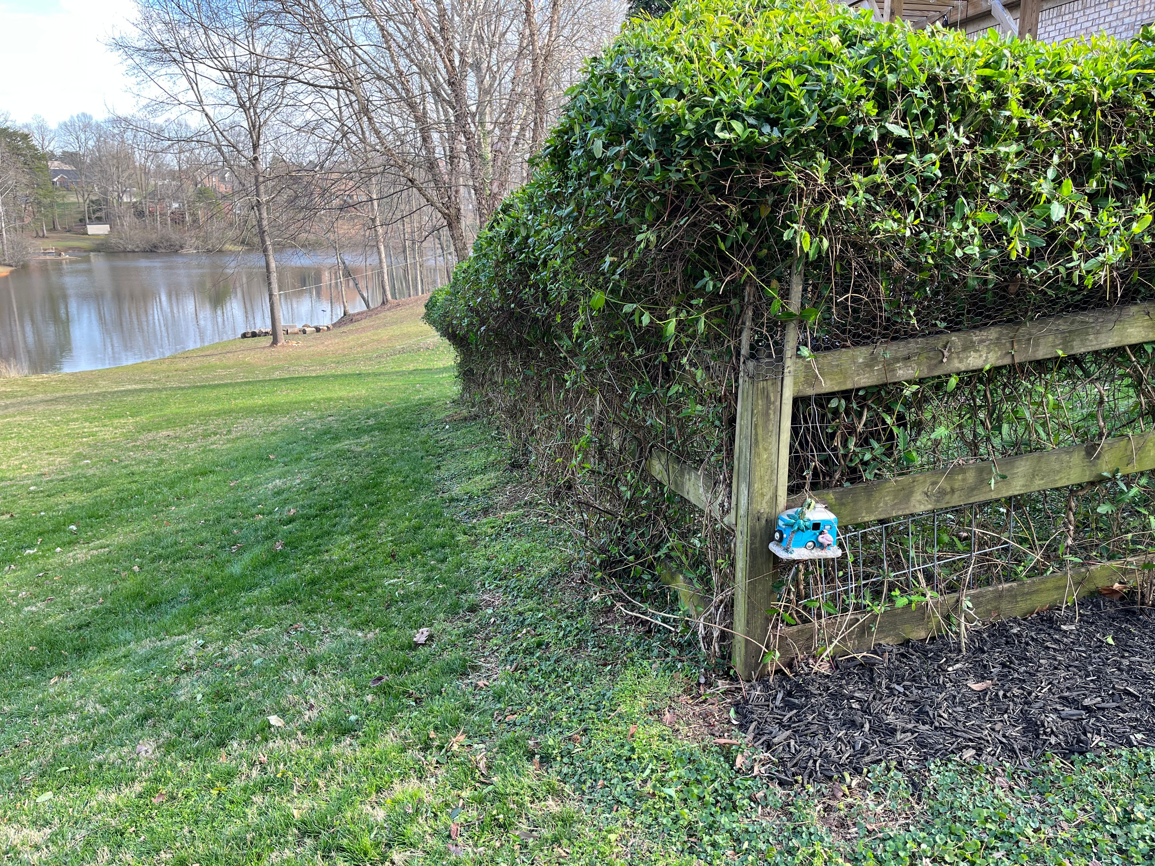  for Sage Green Lawn Care in Greensboro,  NC