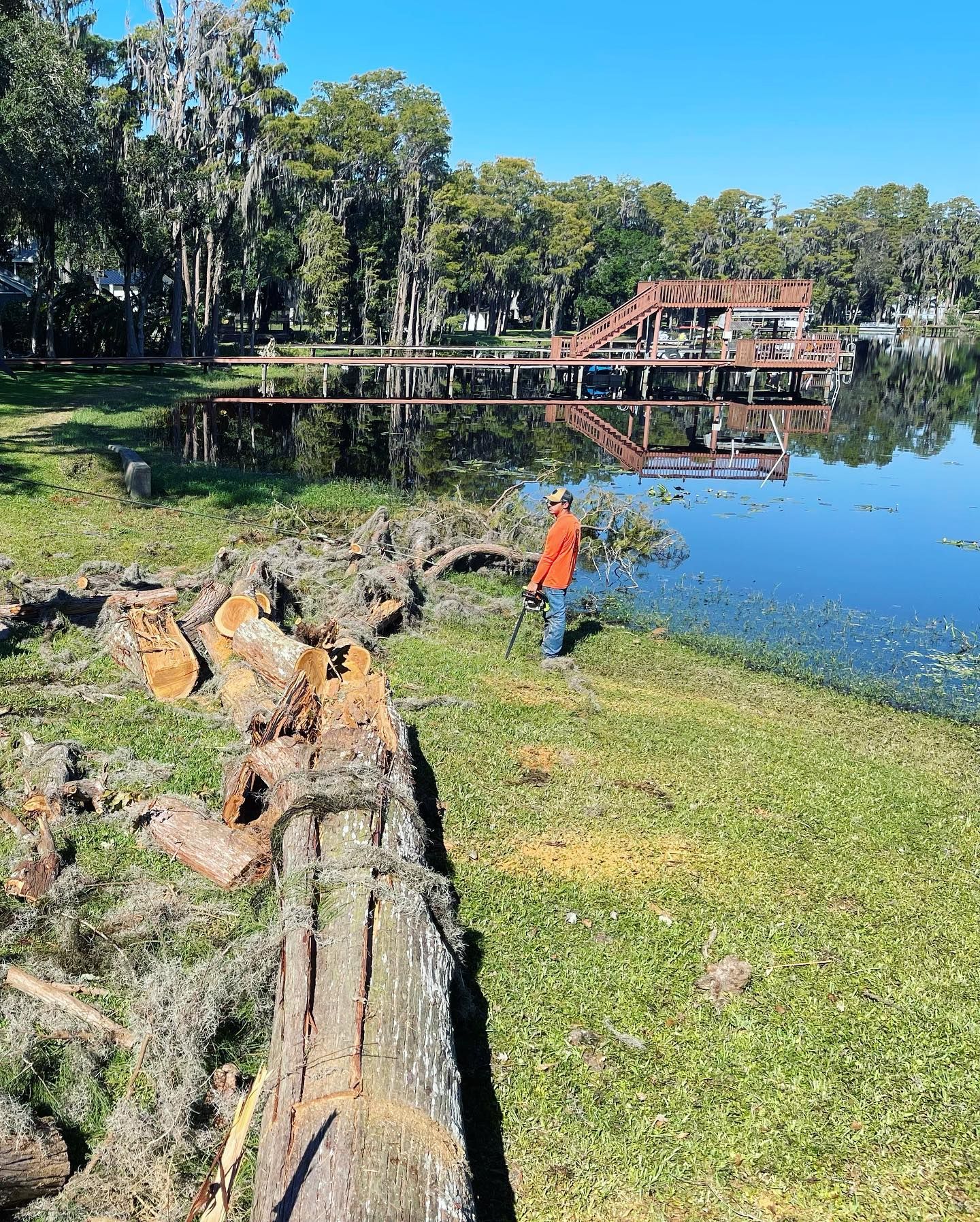  for EB Trees and Landscape in Holiday, FL