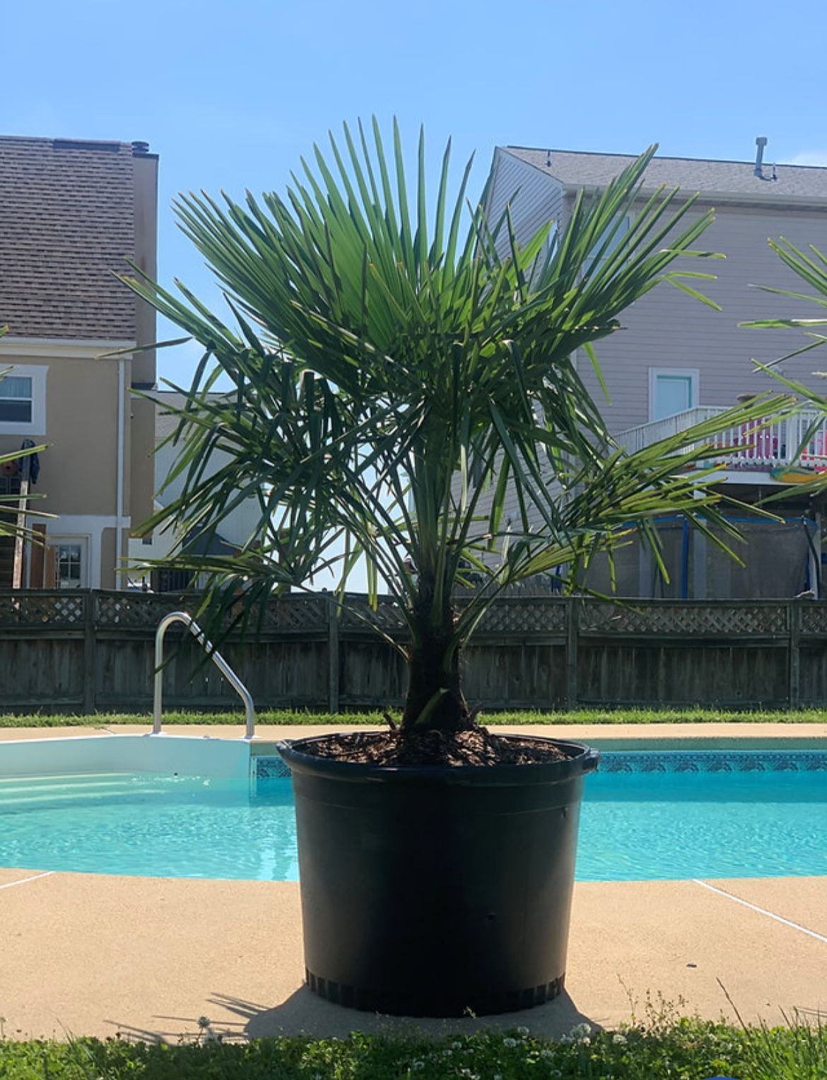  for New Creation Lawn and Landscape in Myrtle Beach, SC