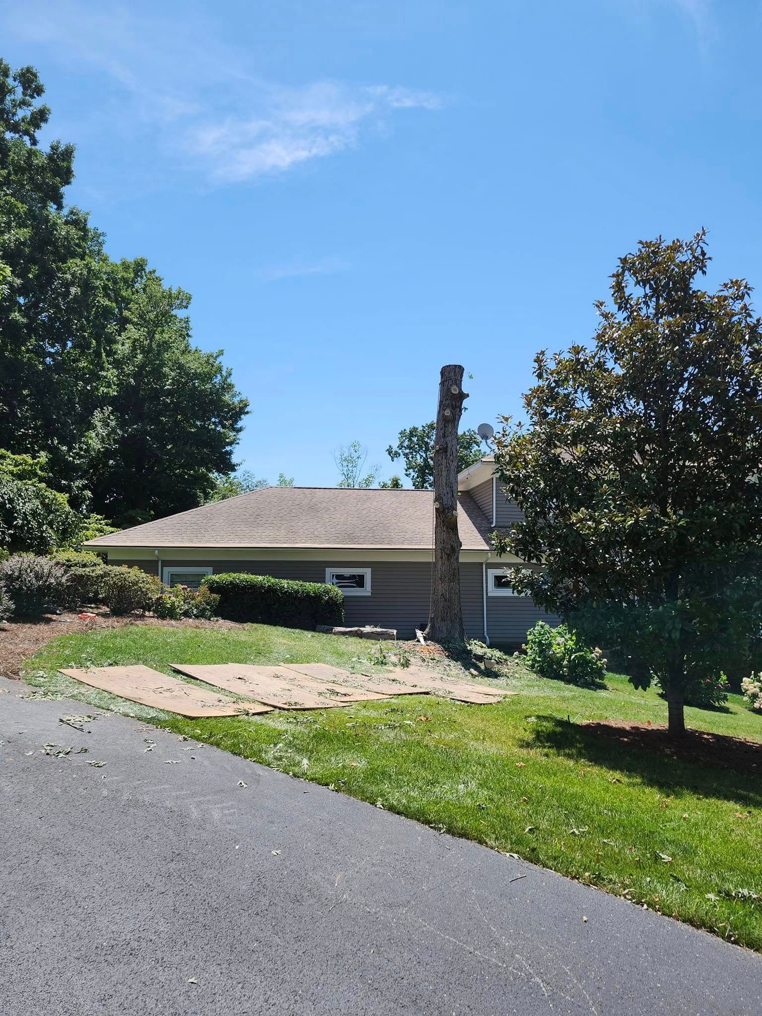  for Red Roosters Tree Services in Bedford, VA