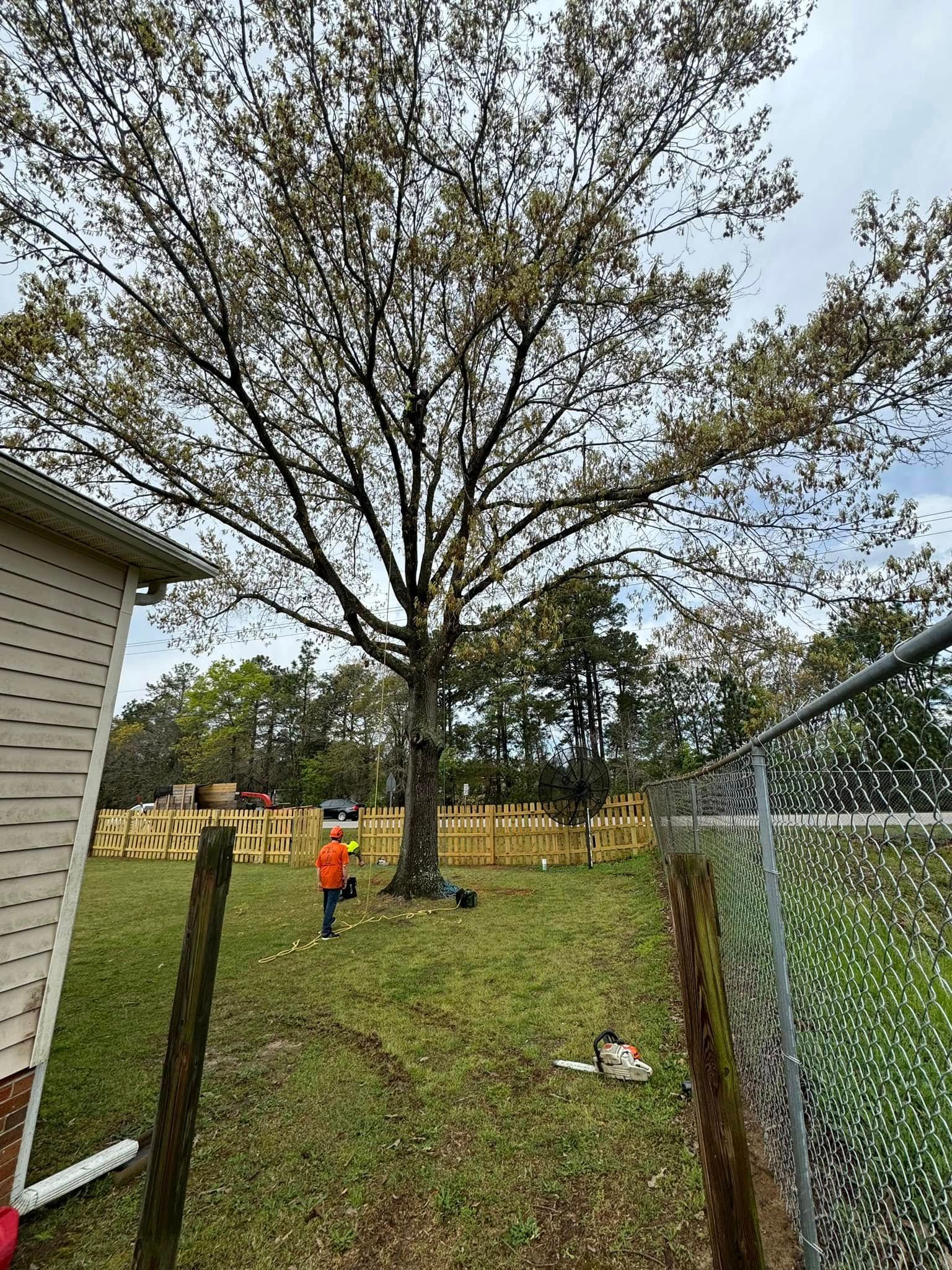  for Diversified Tree Company in Trinity, NC