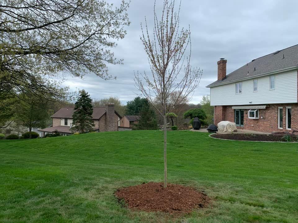  for Trueman Landscaping in Wexford, PA