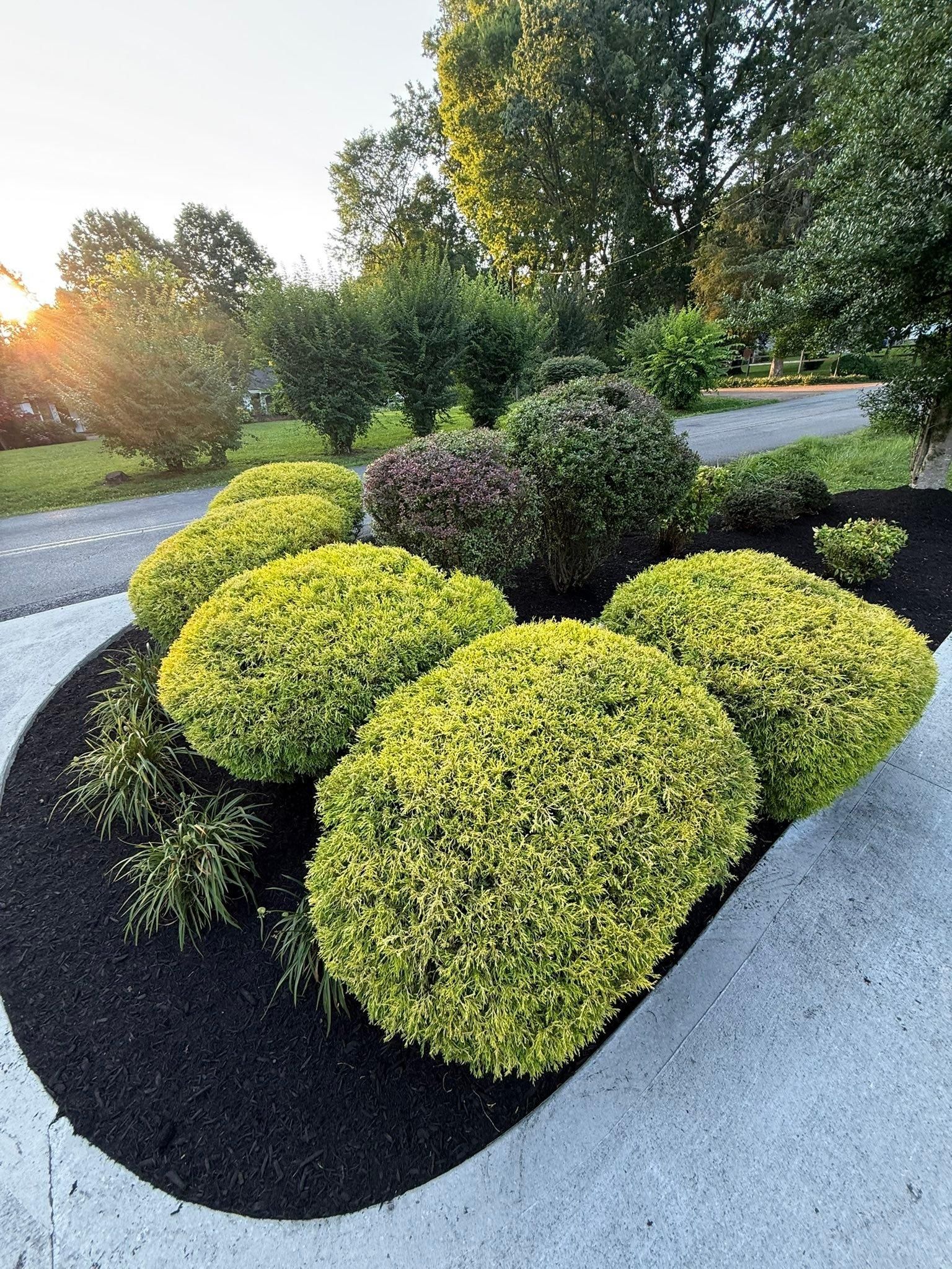  for Wesleys Landscaping in Clinton, TN