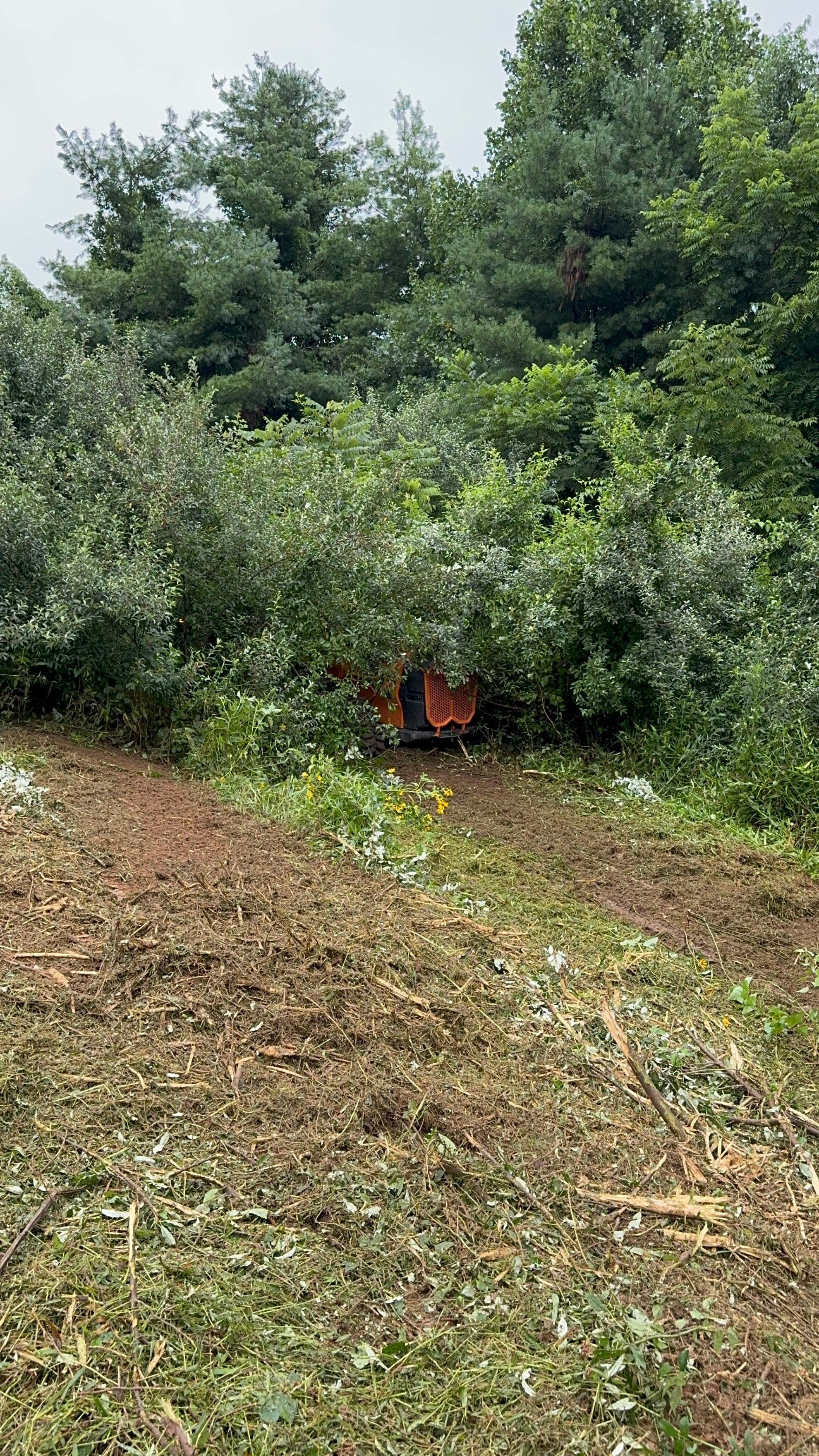  for Mountain Goat Land Management in Galax, VA