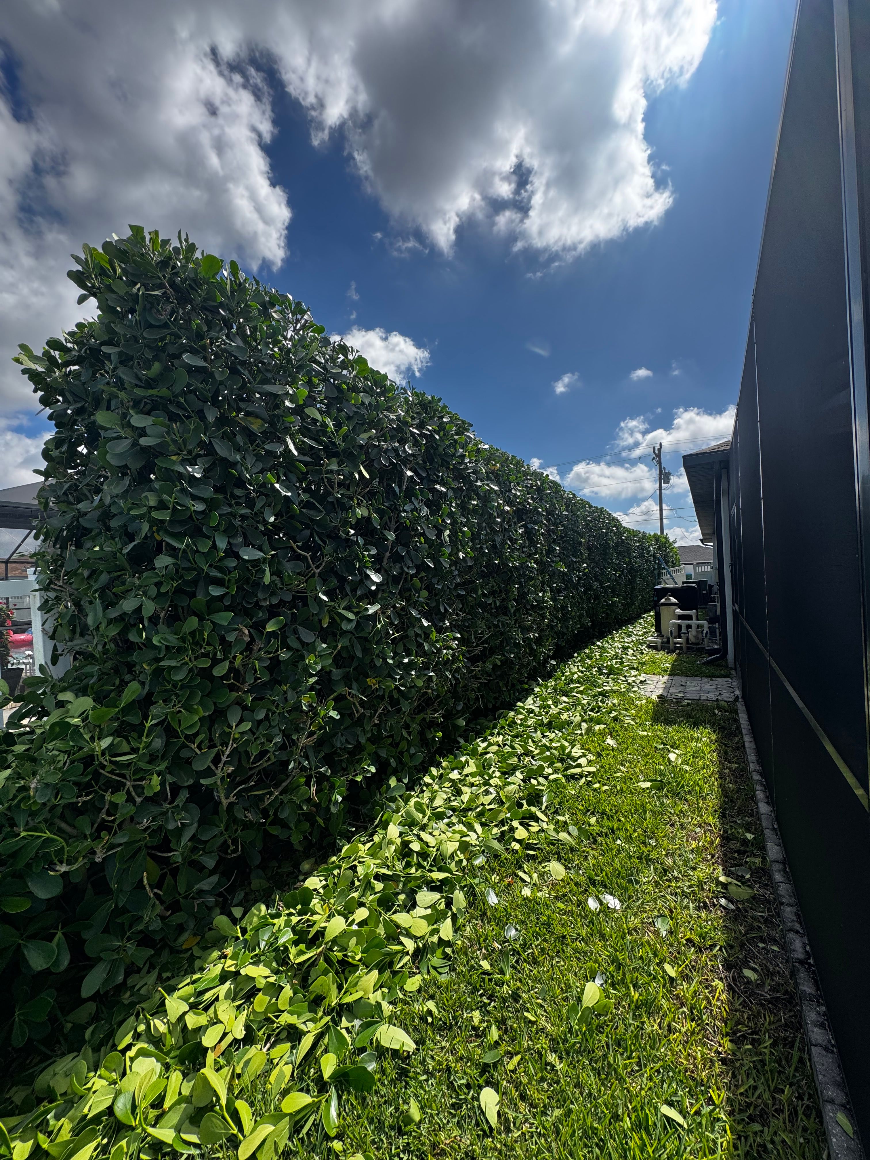  for BH Lawn and Landscape in Fort Myers, FL