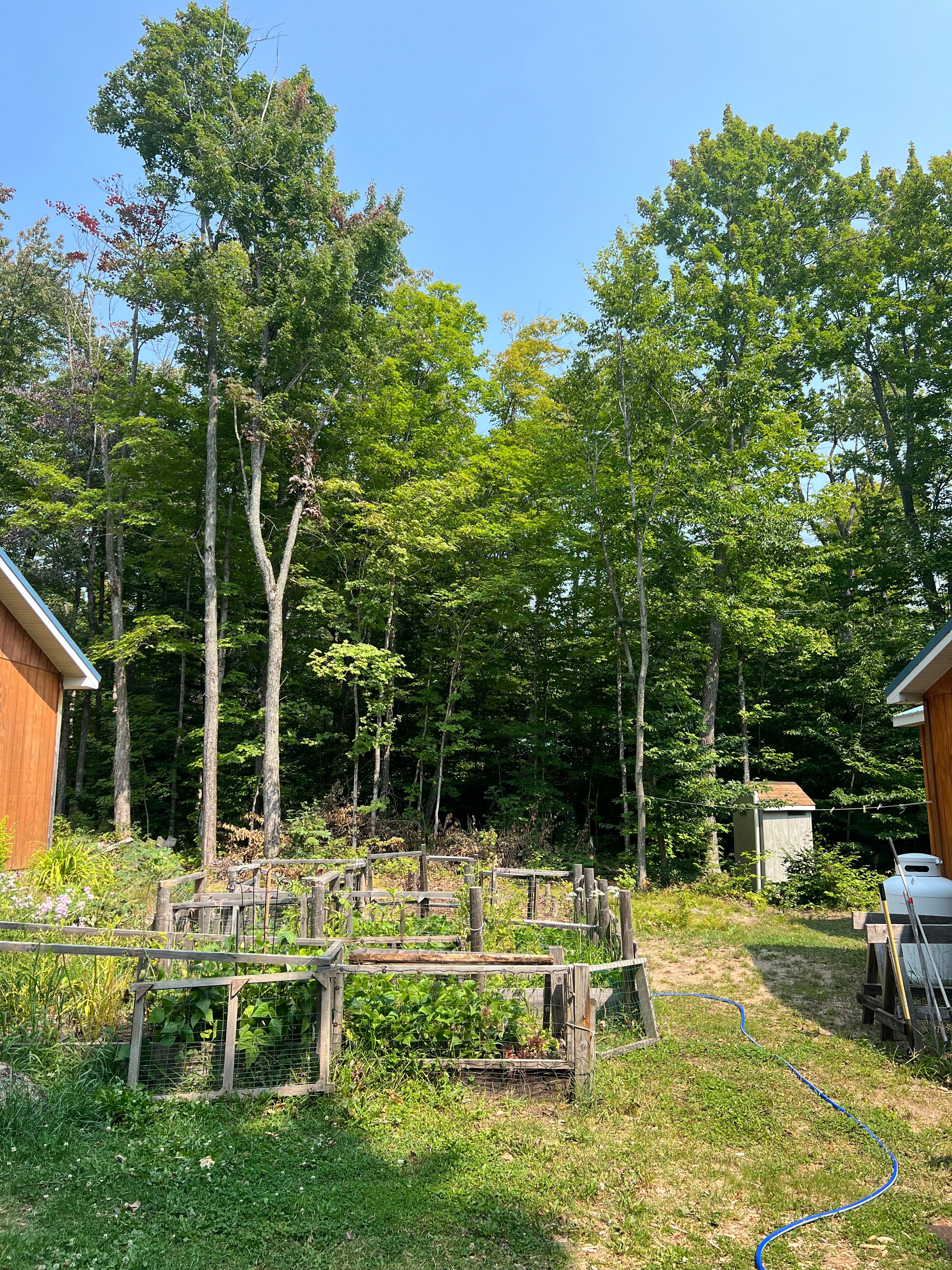 Stump Grinding for Bear Creek Tree Service LLC in Rudyard, MI