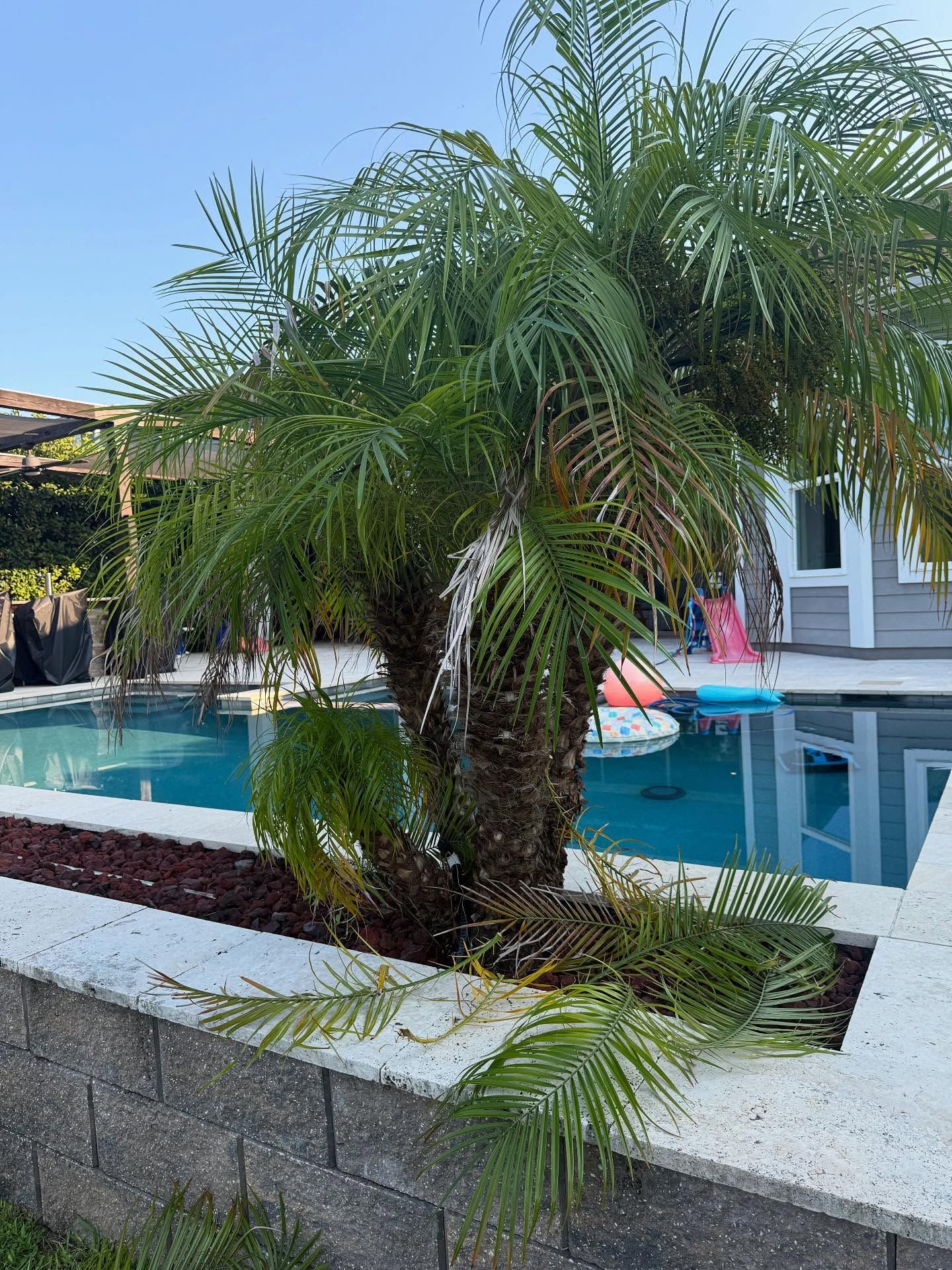  for Whole 9 Yards Services in Green Cove Springs, FL