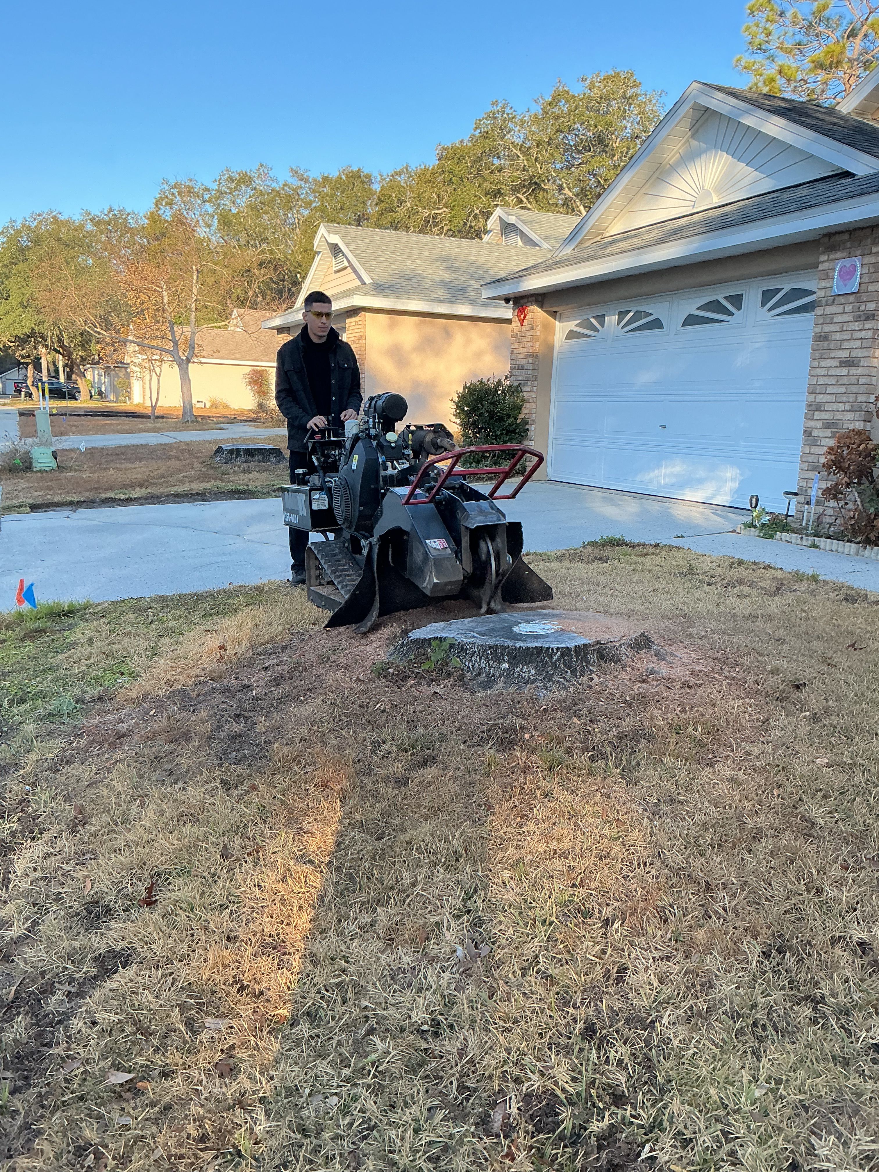  for Amerigrown Tree And Lawn in Apopka, FL