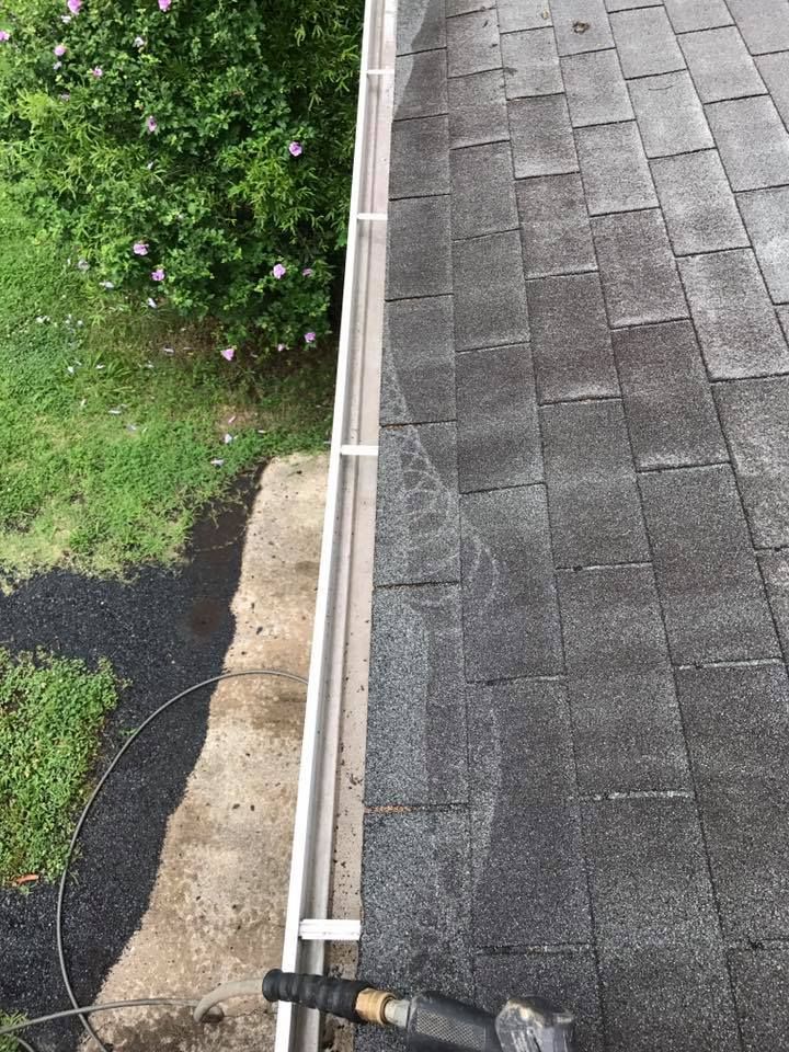  for Susan's Painting in Greensboro, NC