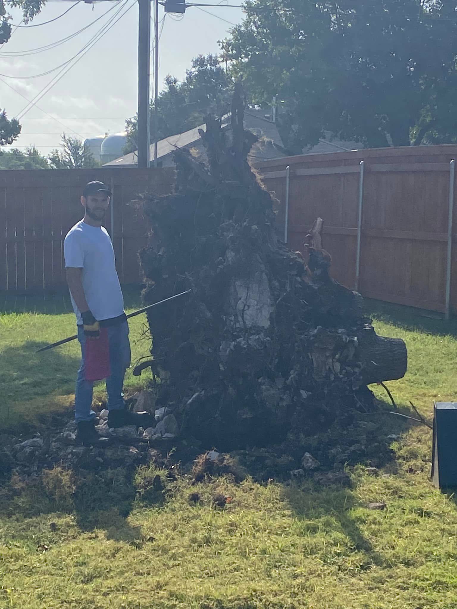  for West Stump Grinding in Temple, TX