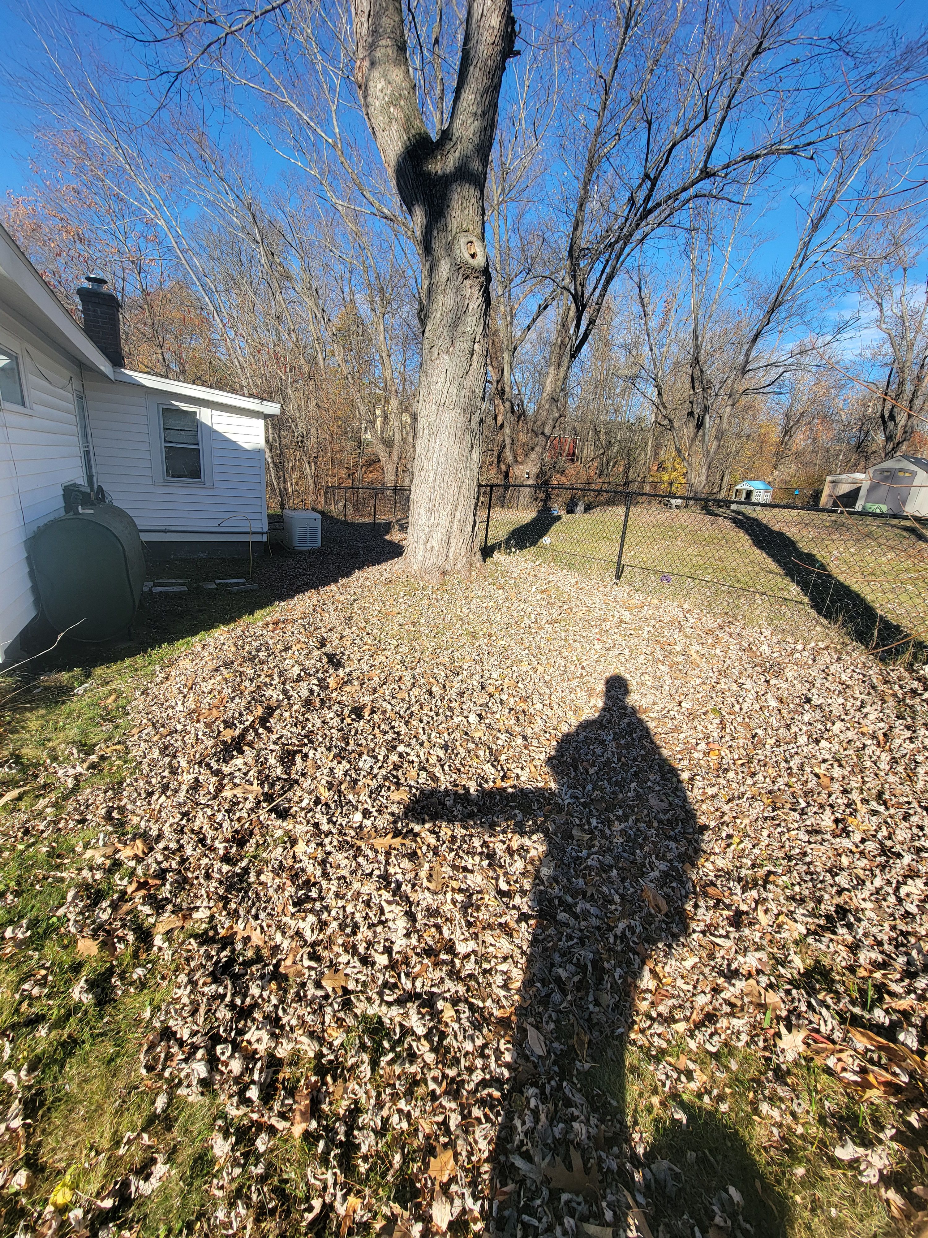  for Sweet Scapes in Ballston Spa, NY