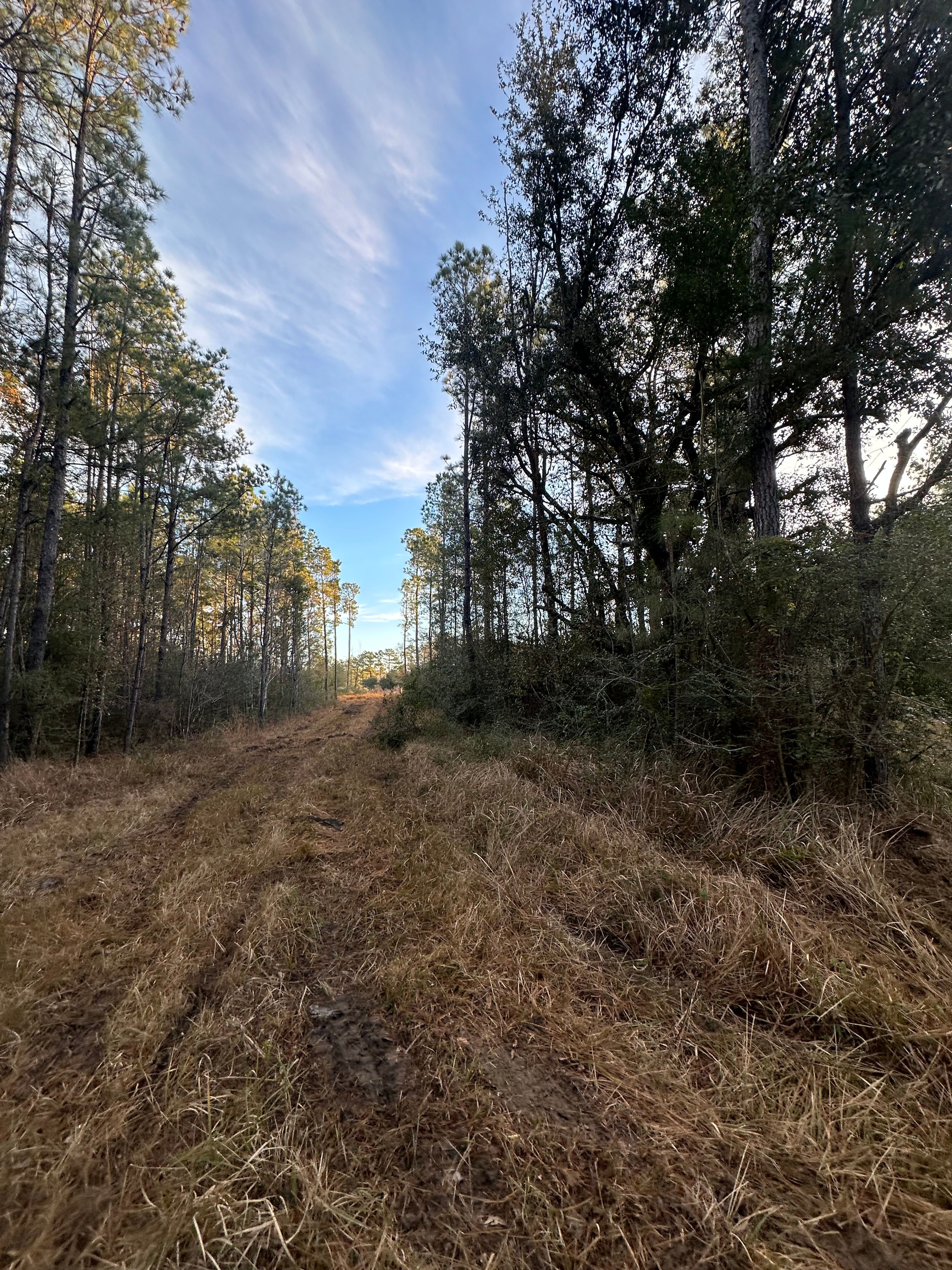  for Platinum Construction llc in Pearl River, MS