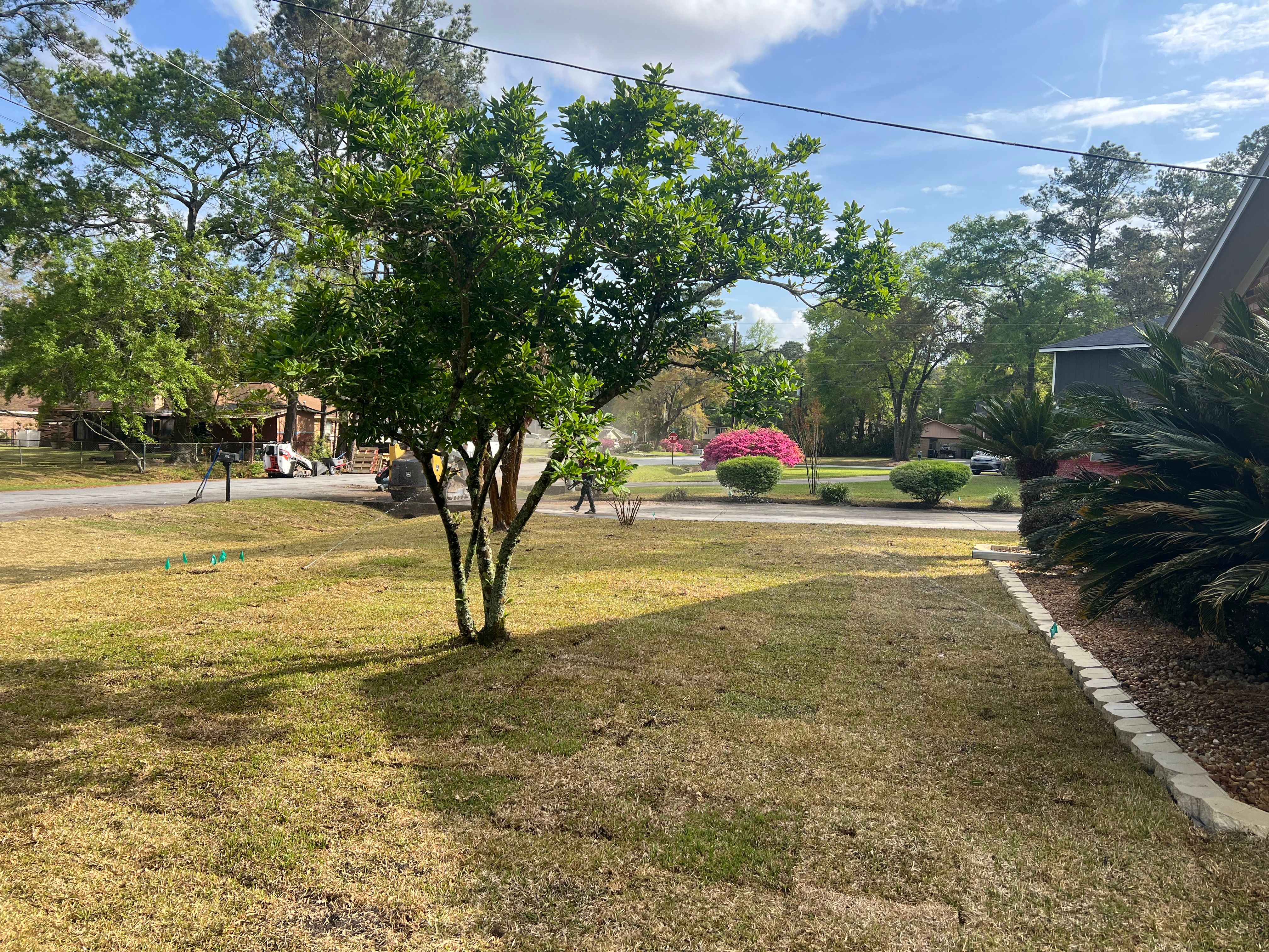  for Brandon Woodard’s Lawncare in Ludowici, GA