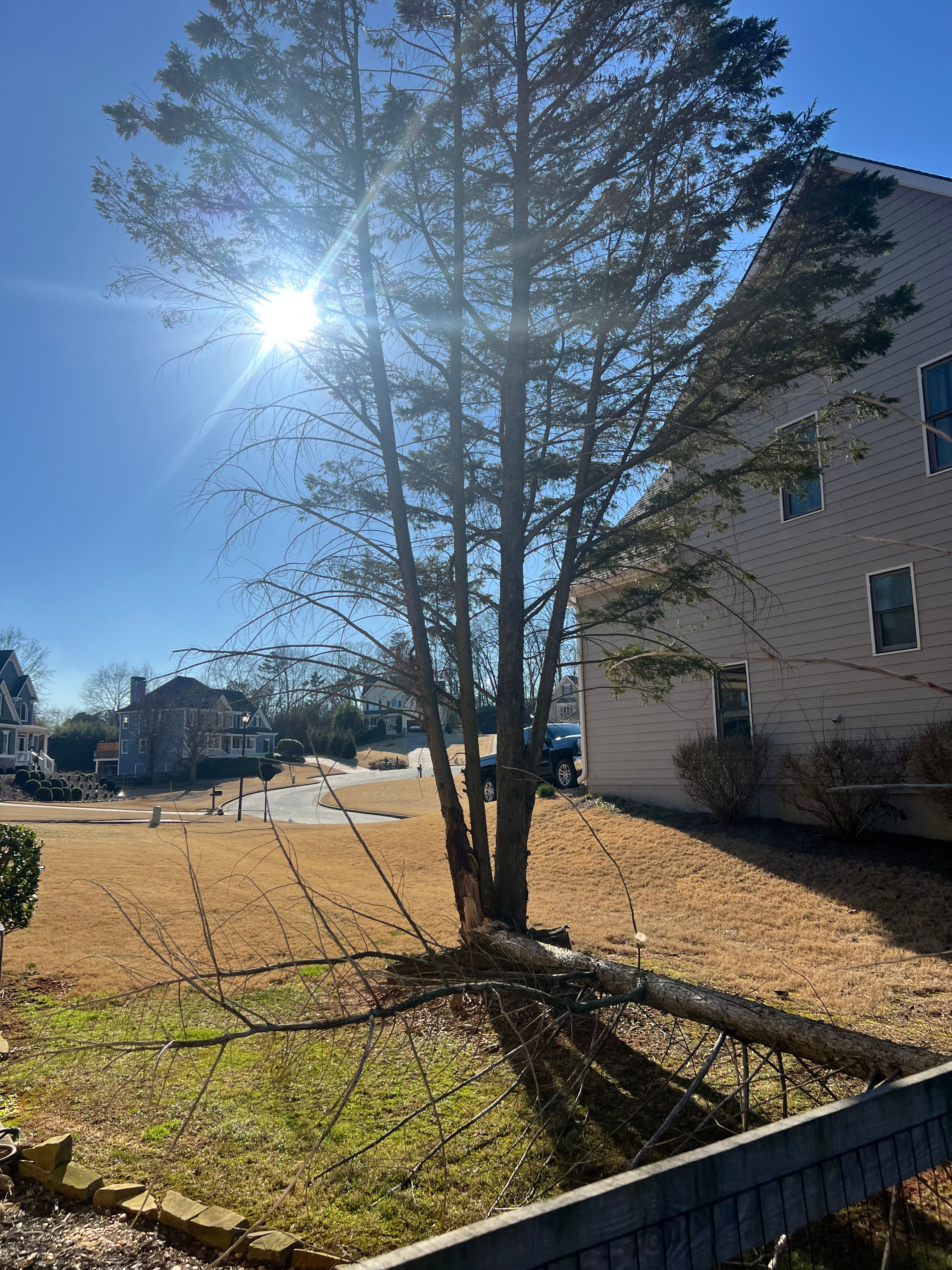 All Photos for Amerigreen Lawn & Landscape in Duluth, GA
