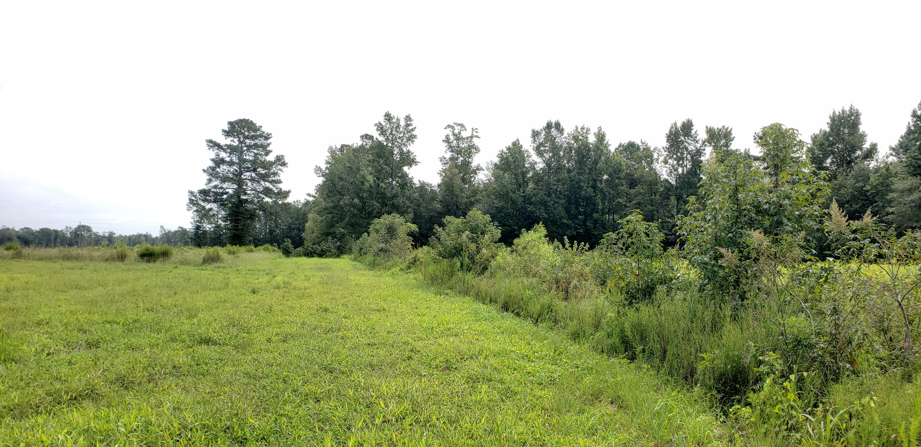 All Photos for TJ Farm and Land Management in Loris, SC