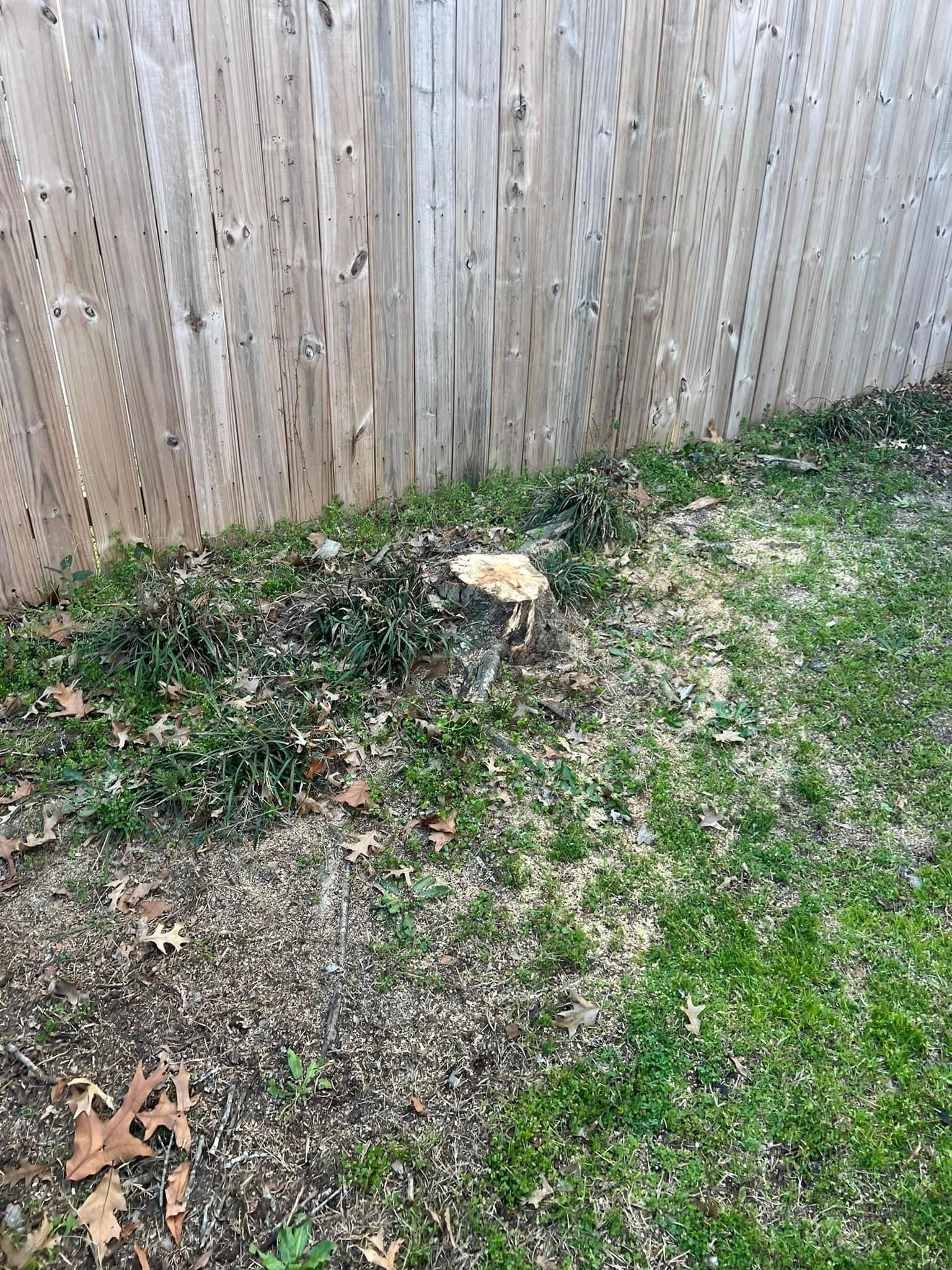  for Shang's Landscaping Service in Columbia, South Carolina