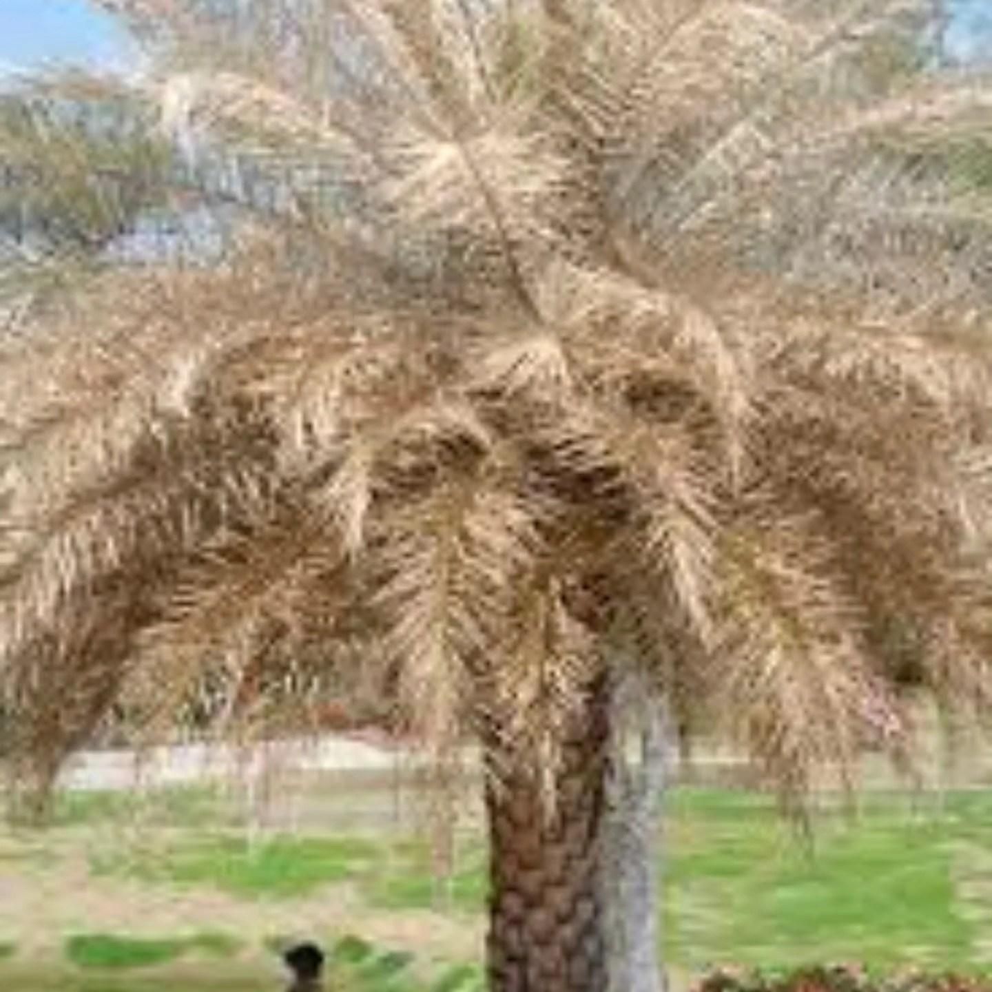  for Bridgewater Arbor Care LLC in Jupiter, FL