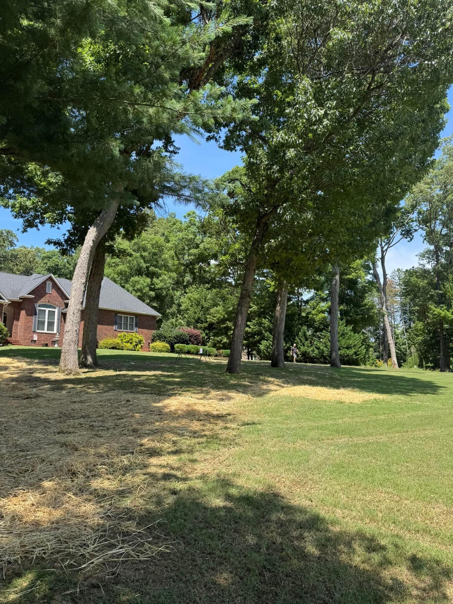  for Southern Turf & Landscape in Concord, NC