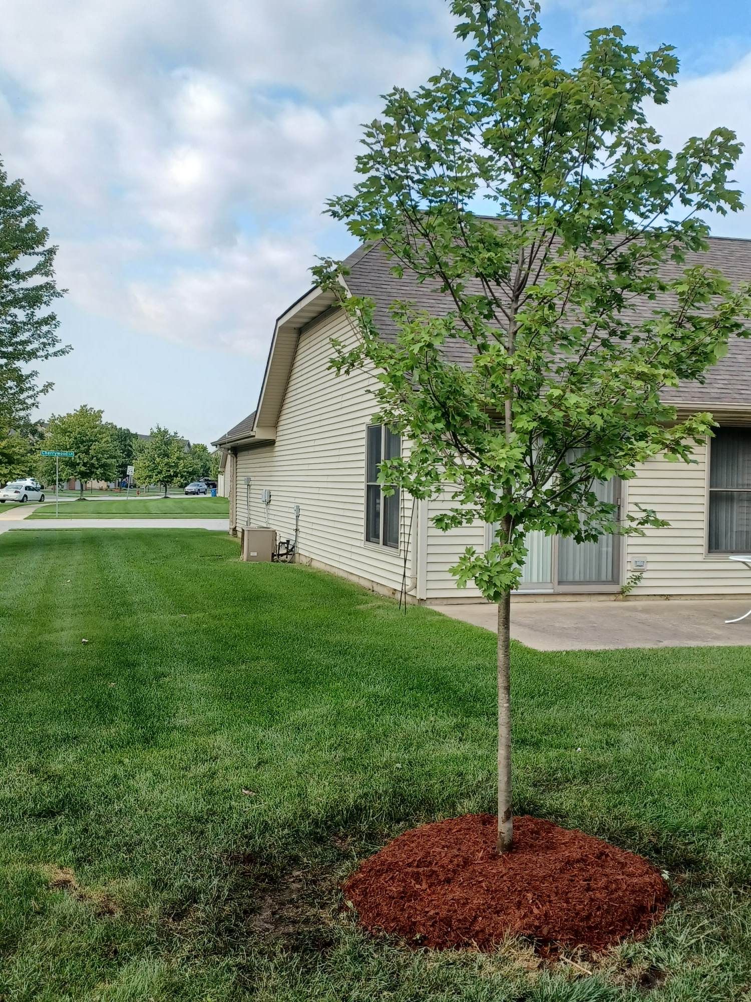 All Photos for Prime Landscaping 219 in Lake Station, IN