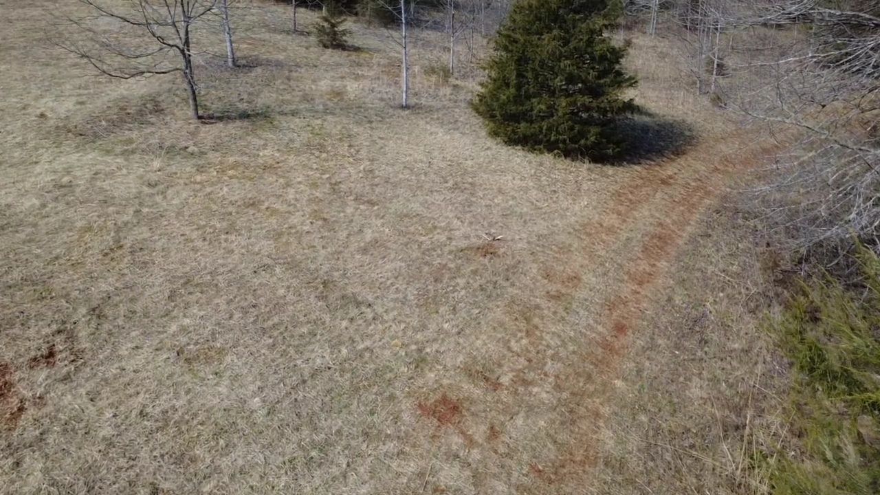  for DC Excavation in Jackson County, NC