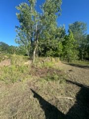  for Native Land Management in Lakeland, FL