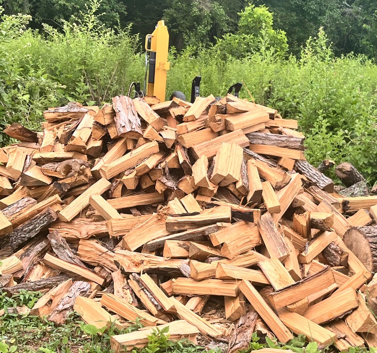  for Ricky's Tree Service & Property Care in Orange, VA