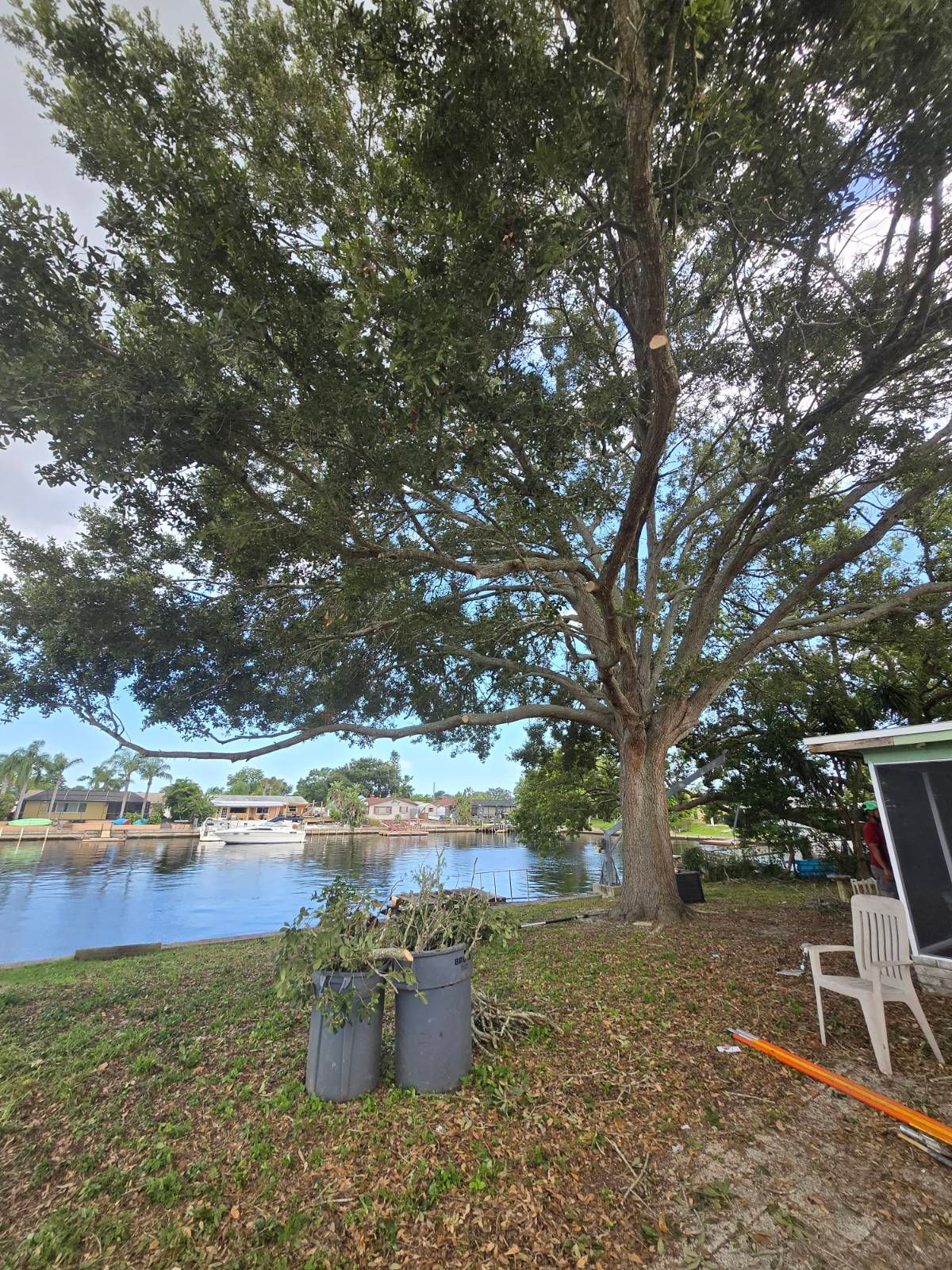 All Photos for TREE BOYS in Ruskin, FL