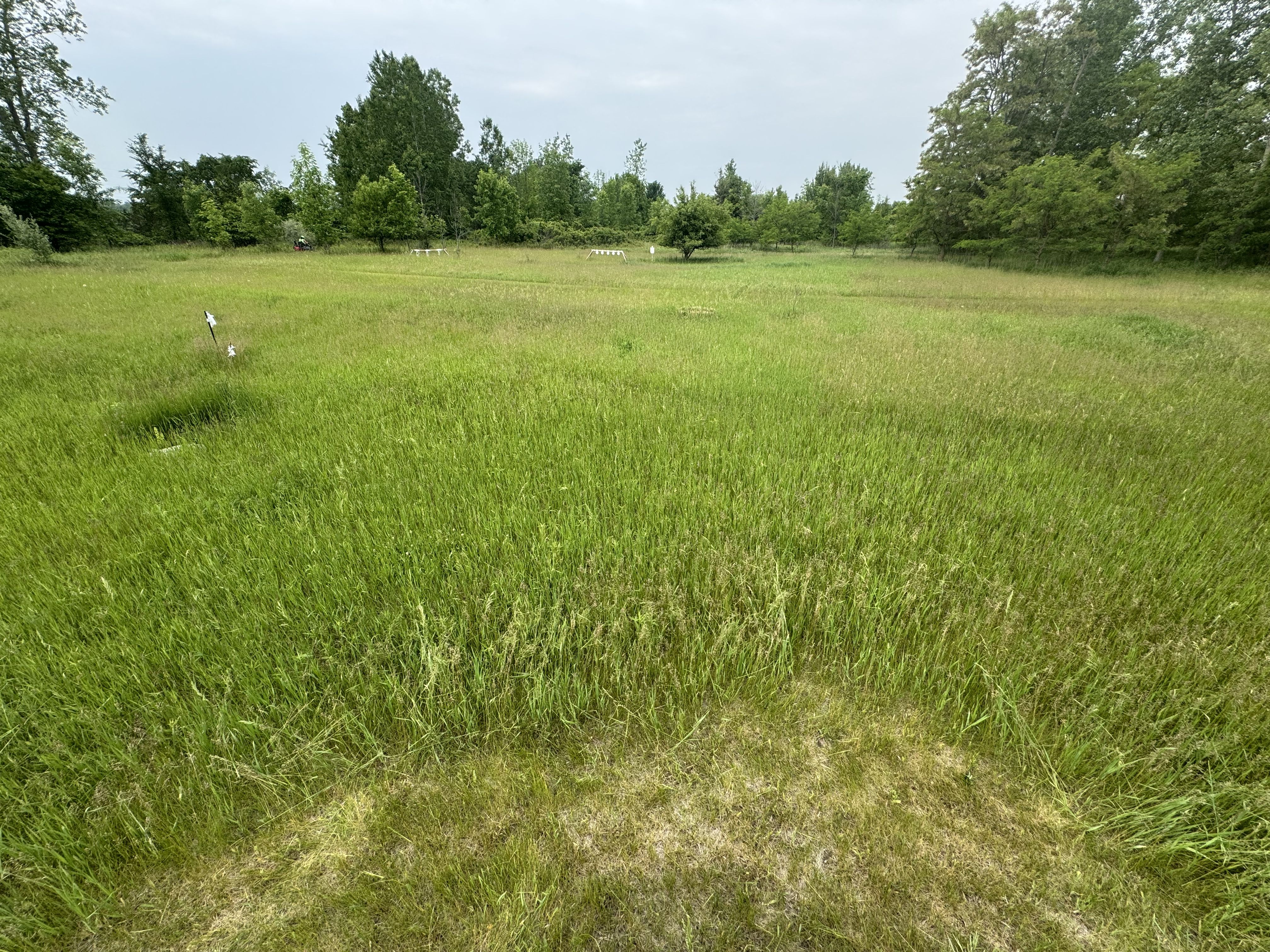  for Daugherty's Tough Lawn Care in Essexville, MI